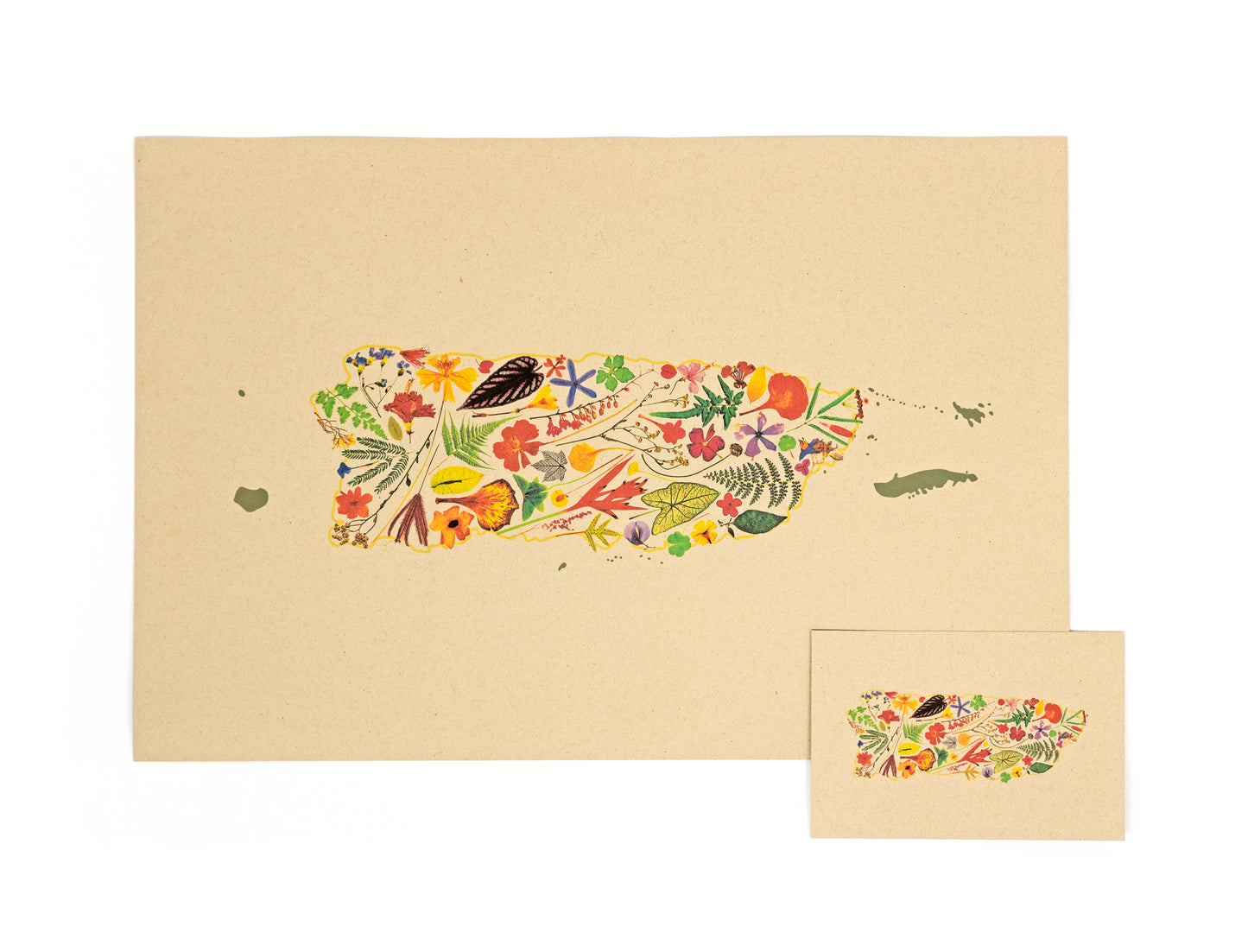 Puerto Rico Florece Art Print