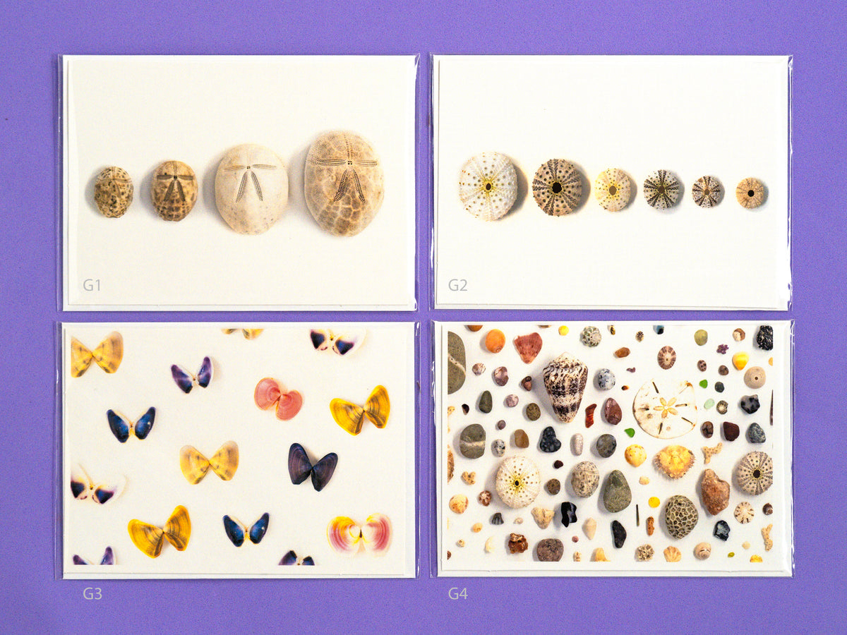 Mar Greeting Card Collection