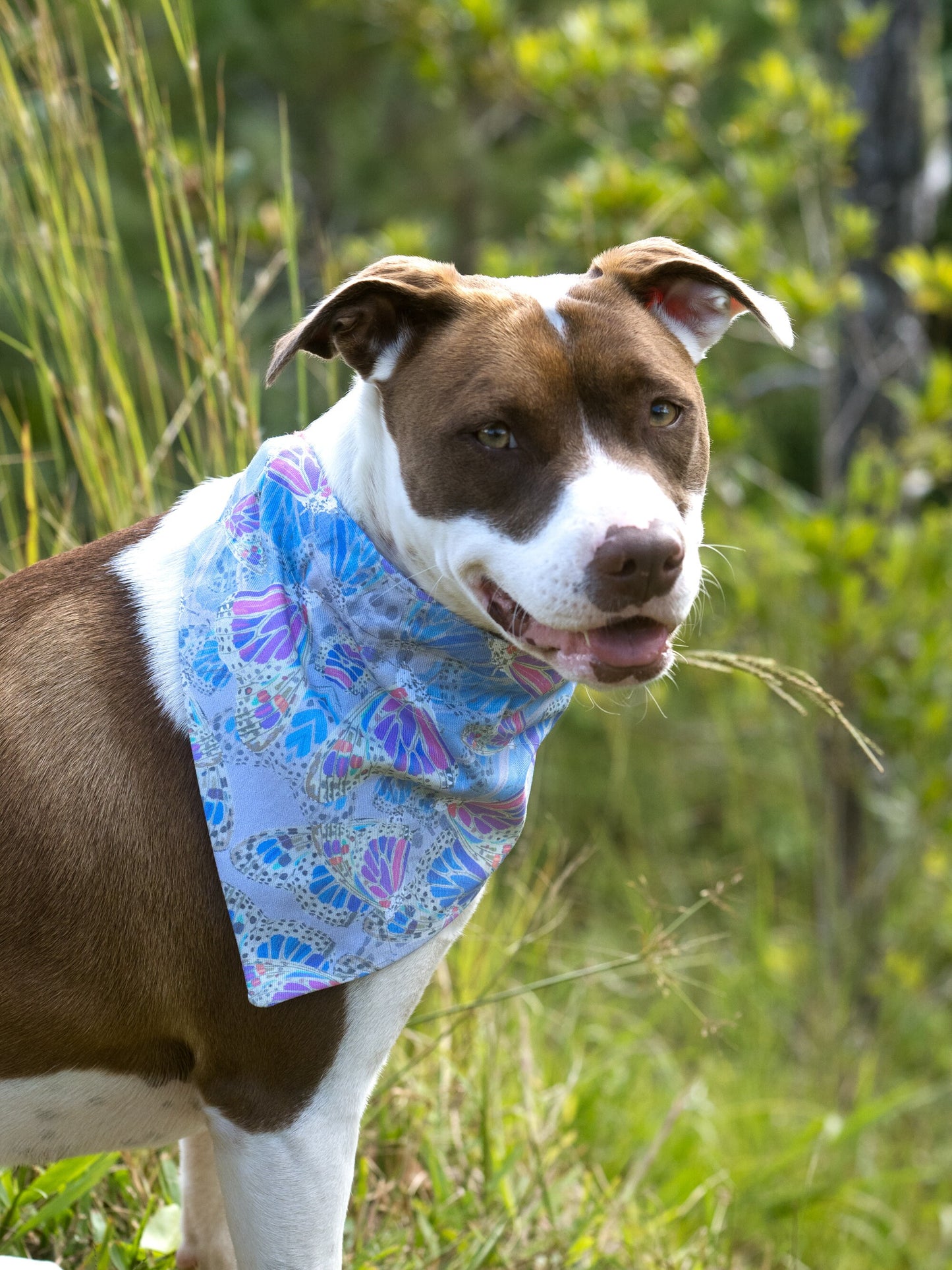 Reversible Dog Bandanas / Floral Slip Over Collar Bandanas