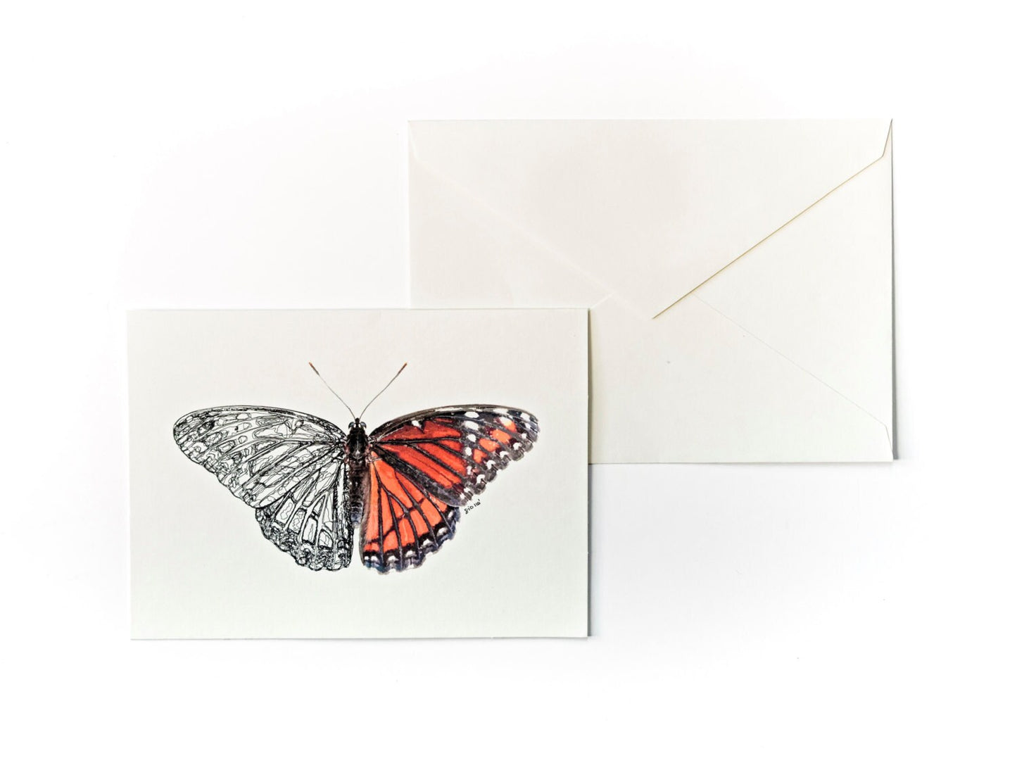 Viceroy Butterfly Greeting Card