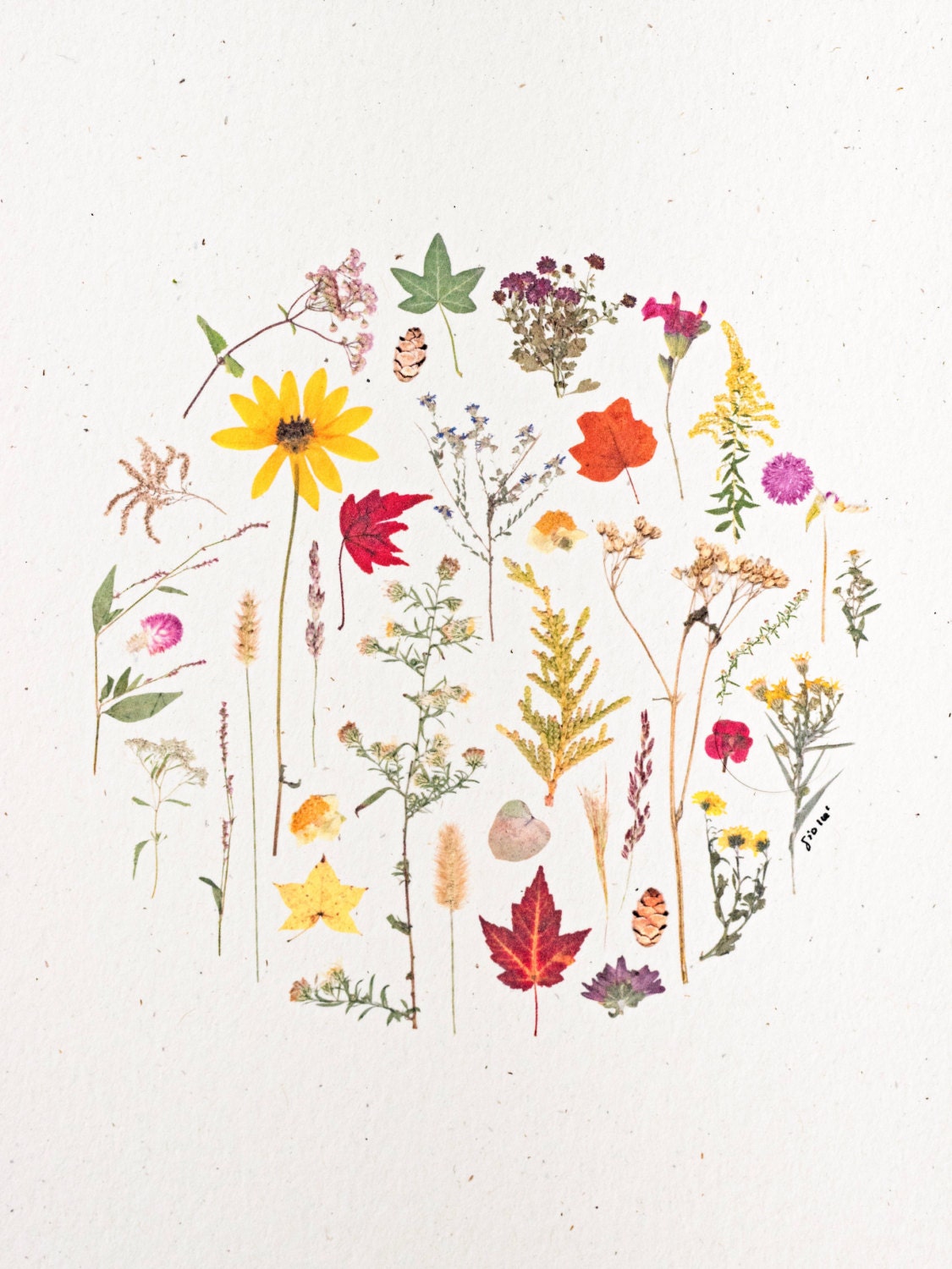 Flora of North Carolina Art Print