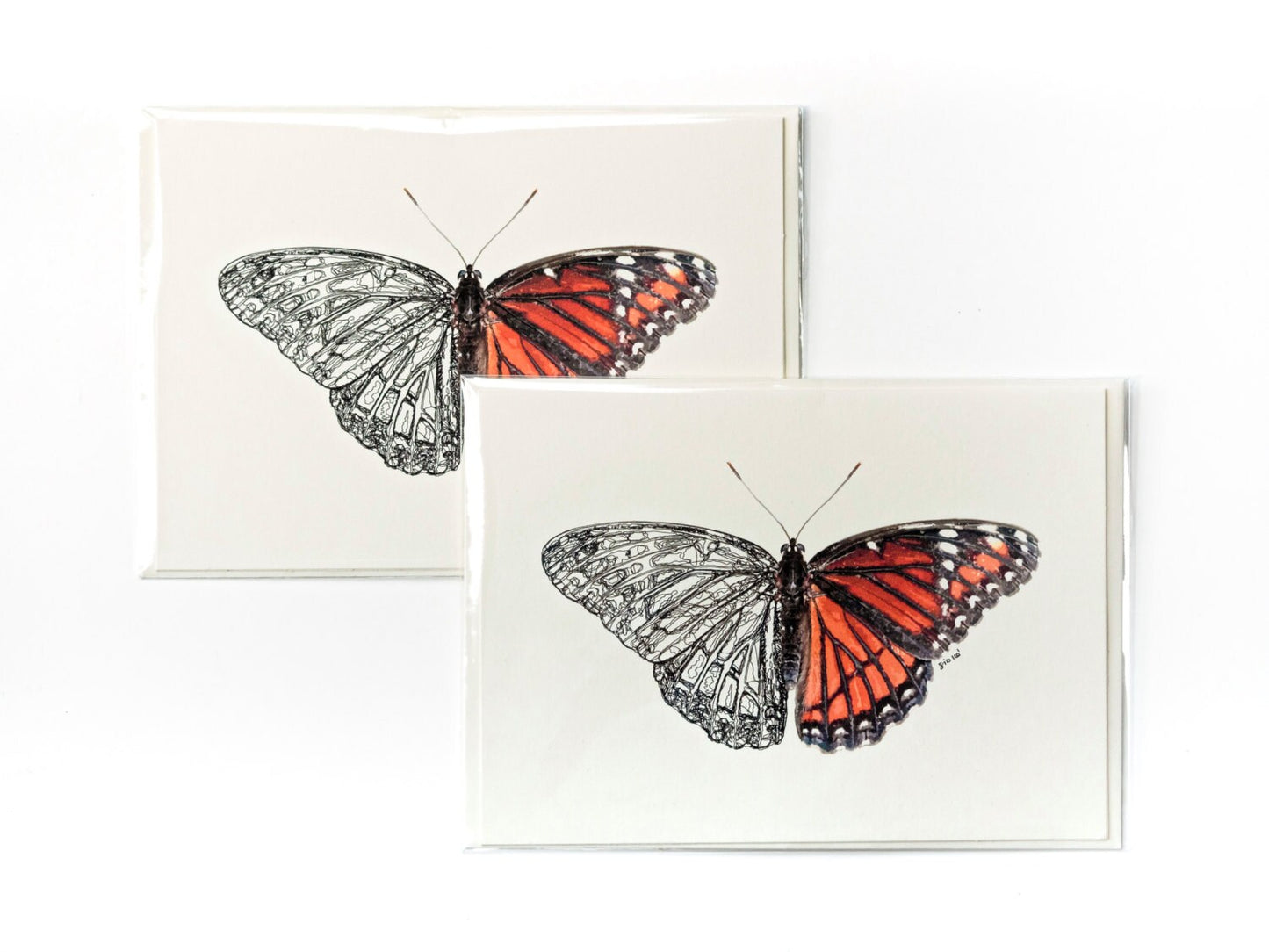 Viceroy Butterfly Greeting Card