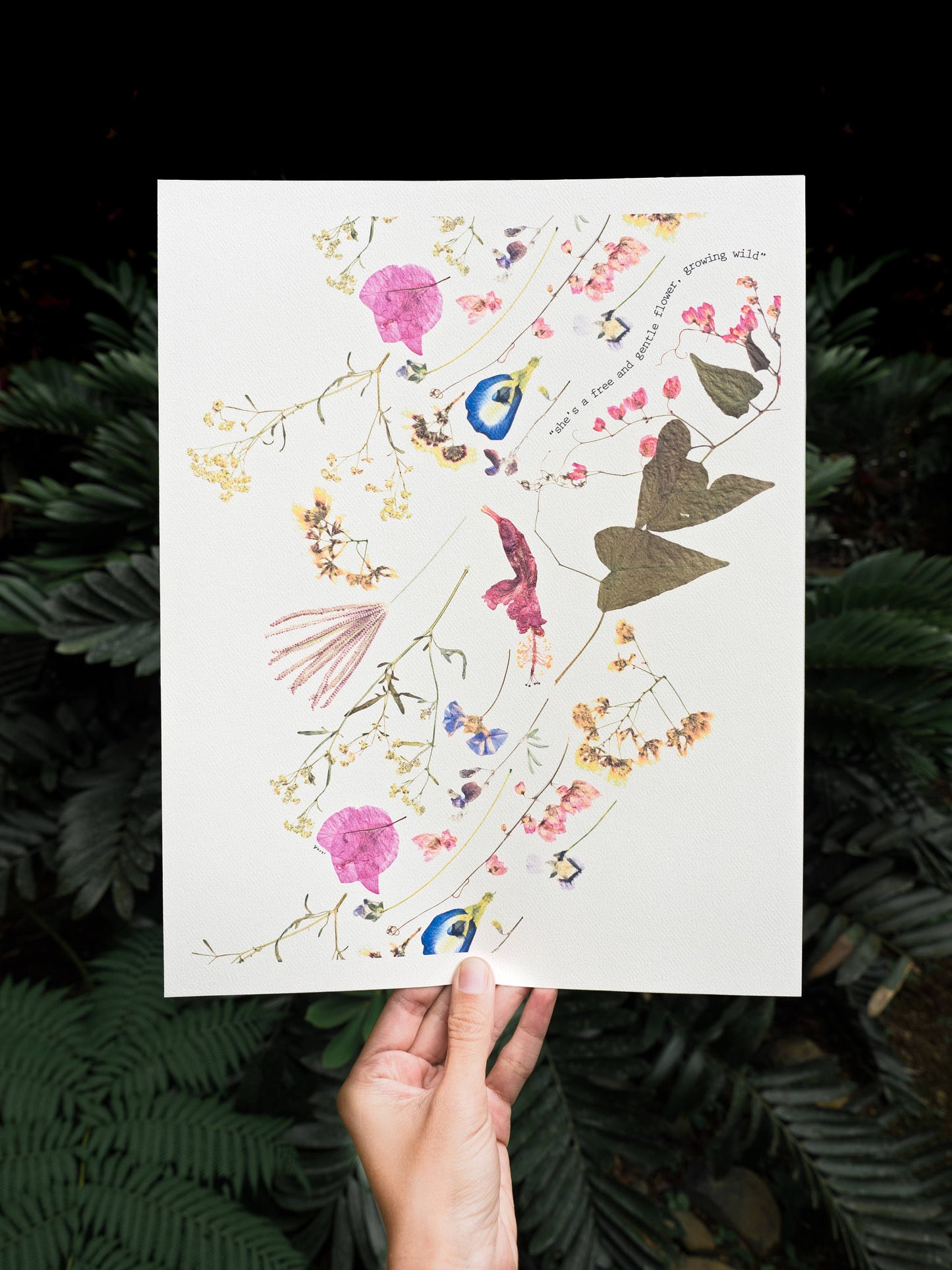 Pressed Flowers of Guánica Quote Art Print