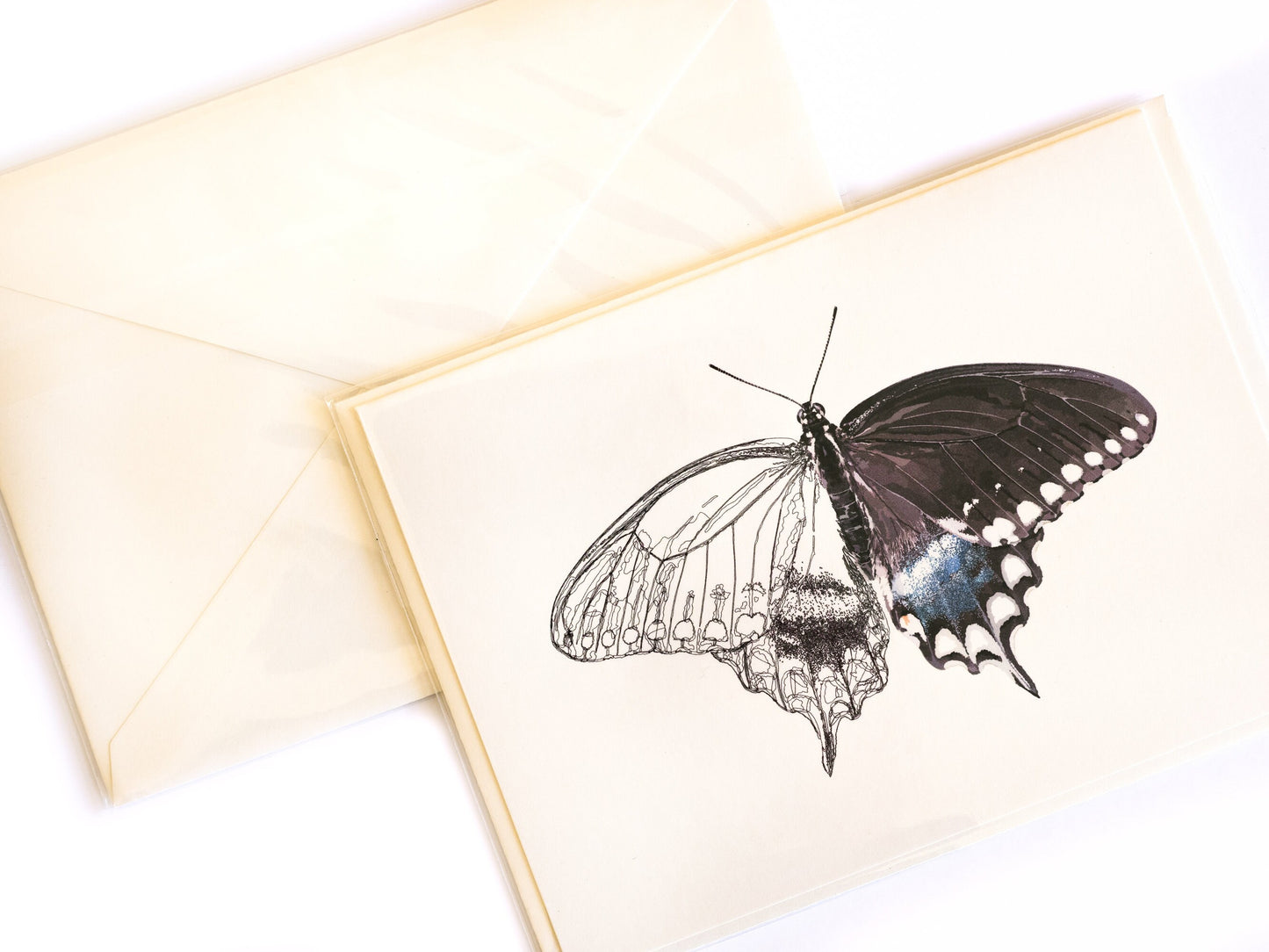 Spicebush Swallowtail Butterfly Greeting Card