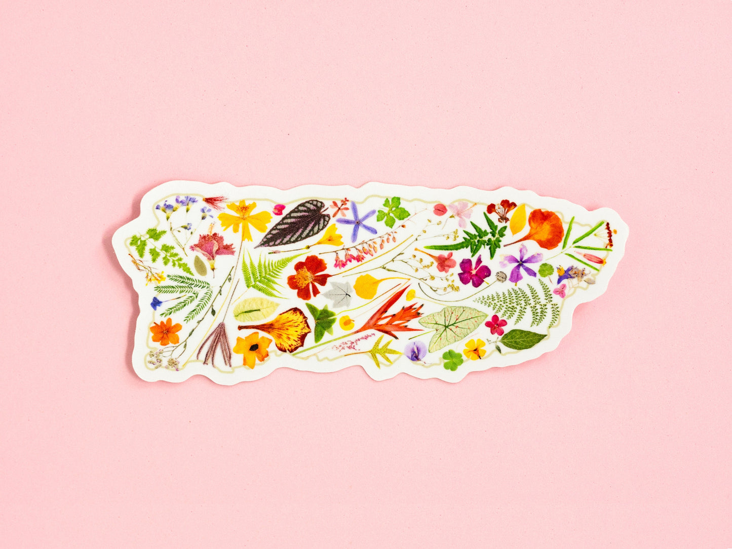 Puerto Rico Florece Sticker