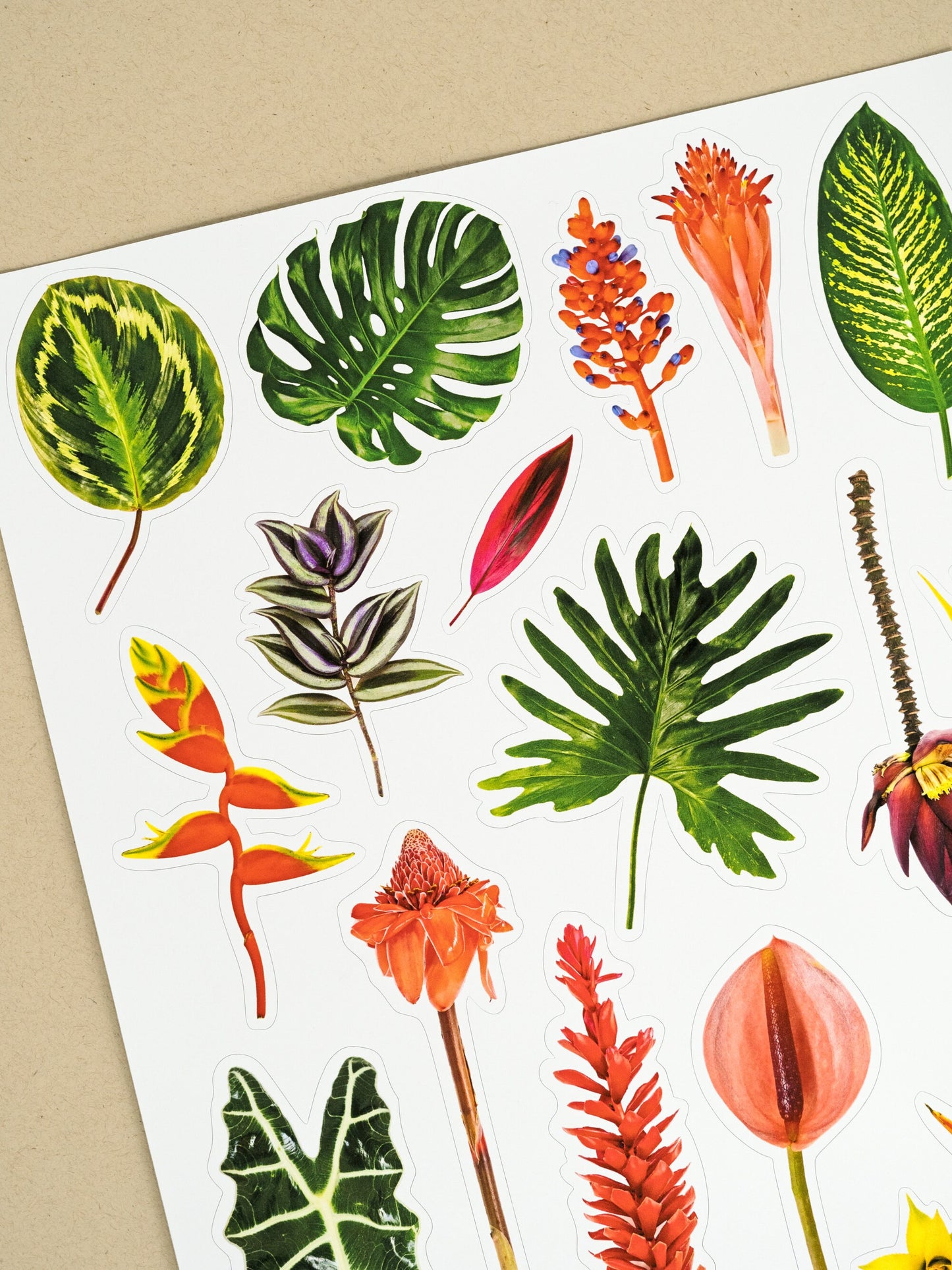 Tropical Plants Sticker Sheet