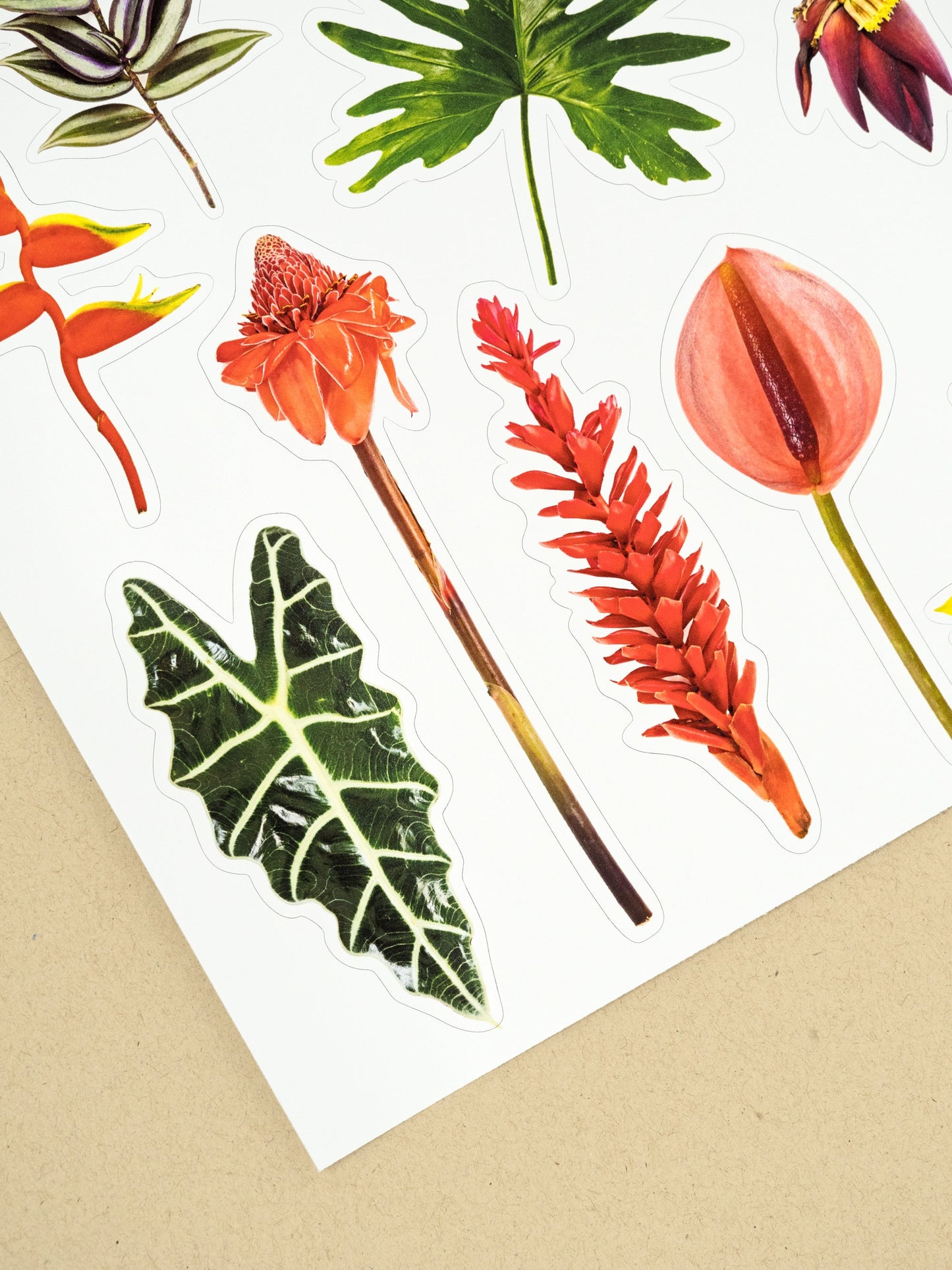 Tropical Plants Sticker Sheet