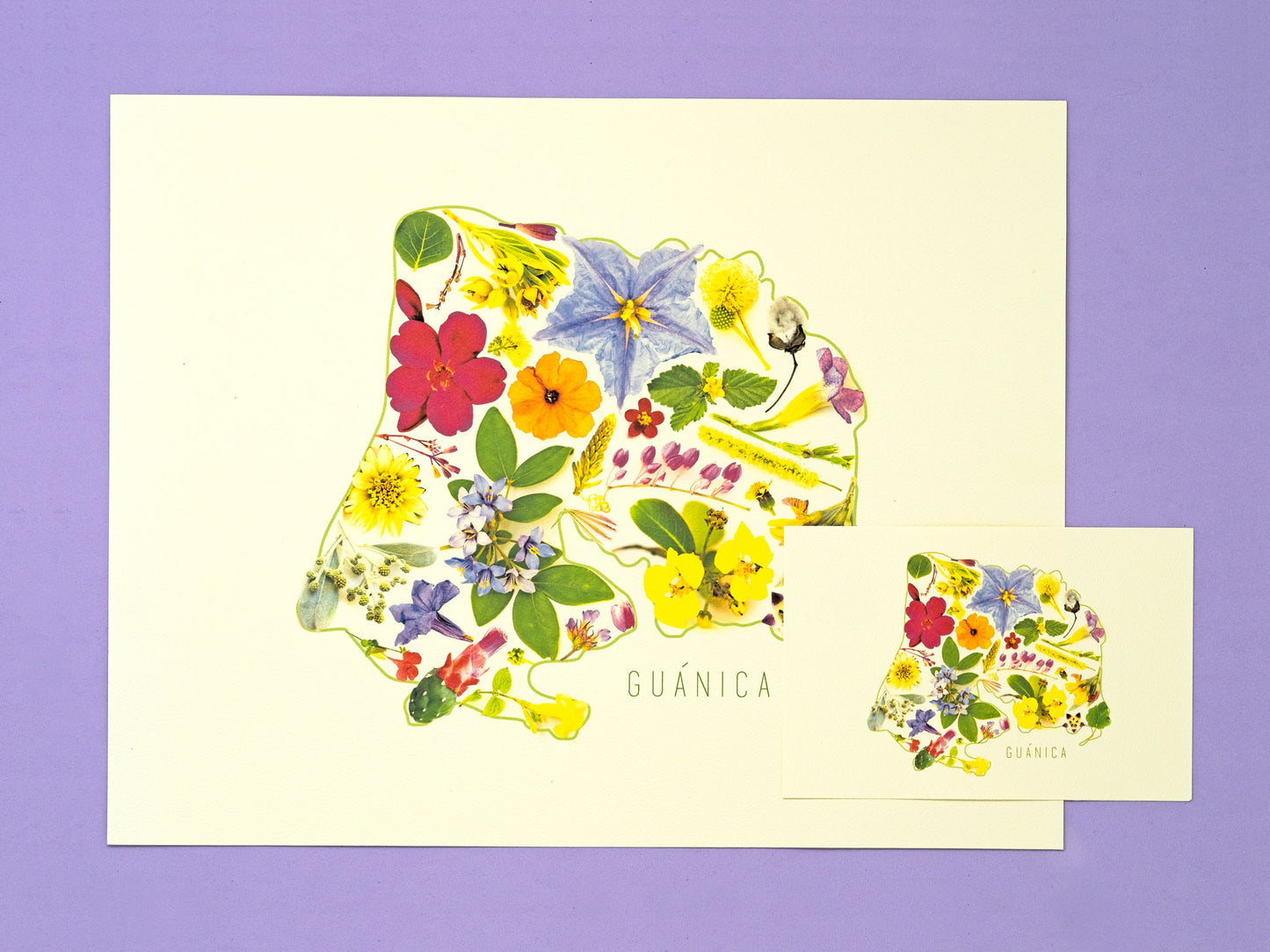 Puerto Rico's Municipalities Art Print