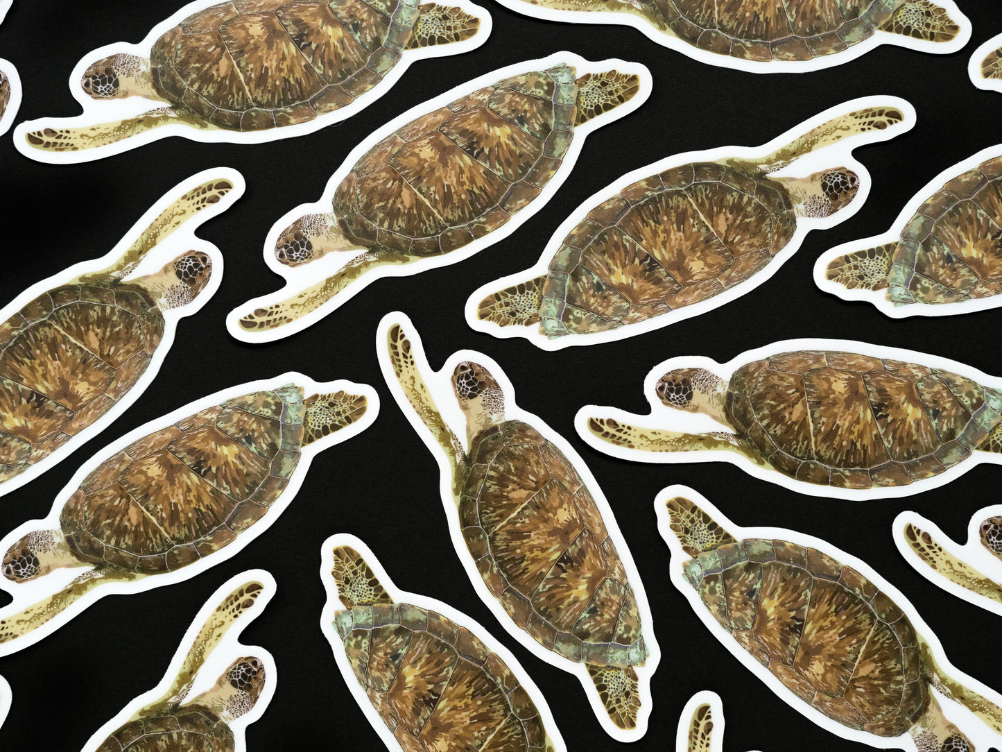 Green Sea Turtle Sticker