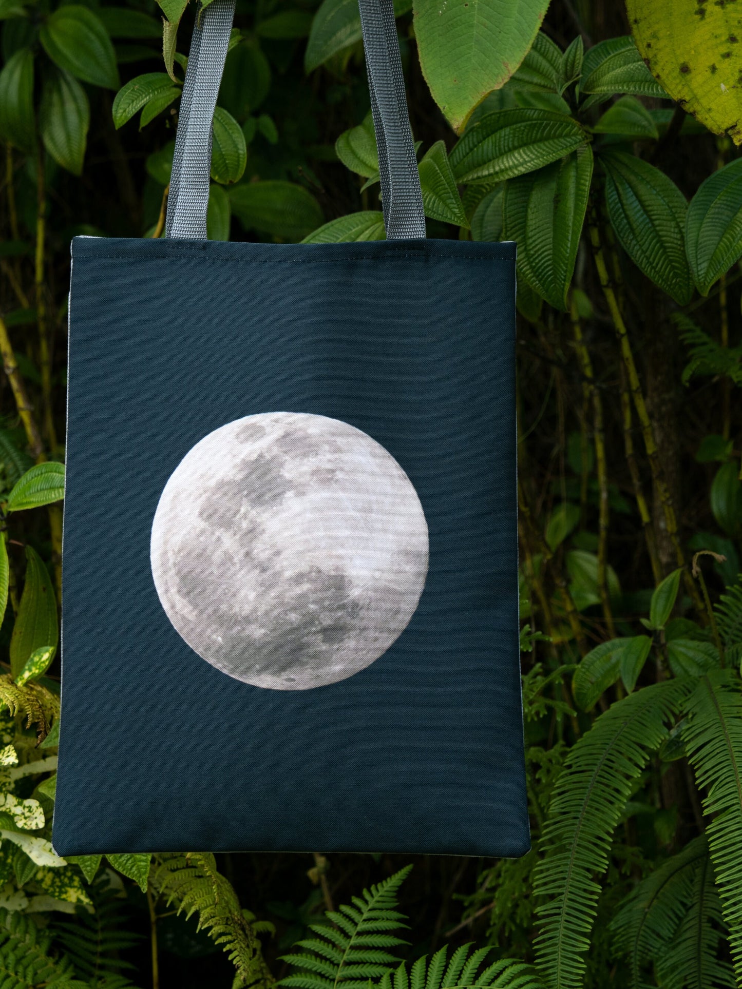 Full Moon Tote Bag
