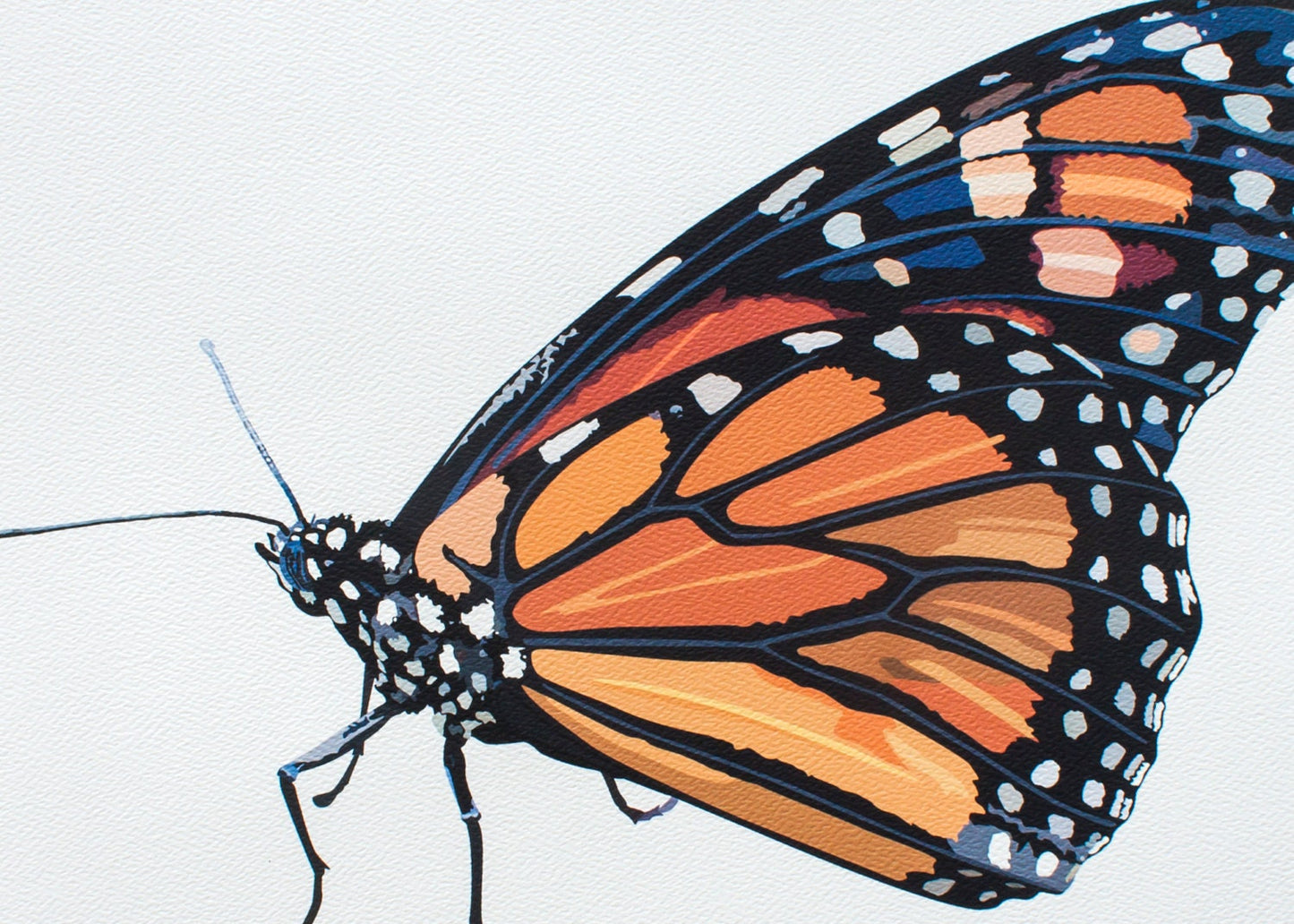 Monarch Butterfly Art Print