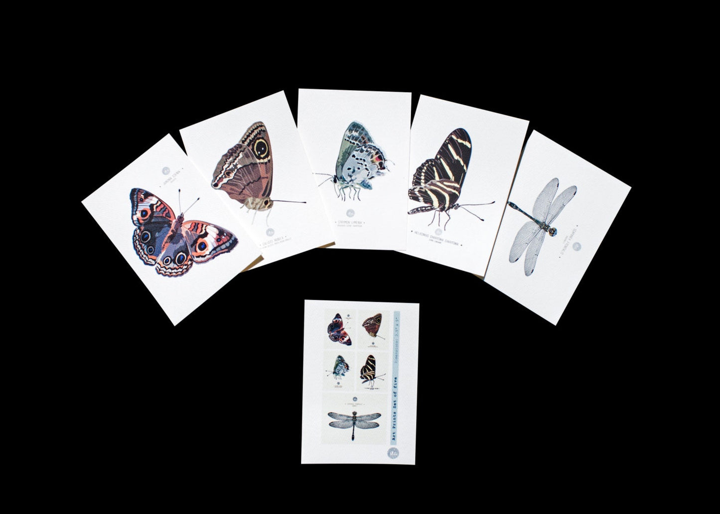 Entomology Art Prints - Set of five