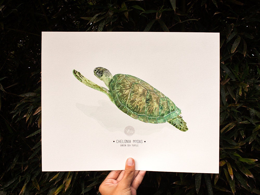 Green Sea Turtle Art Print