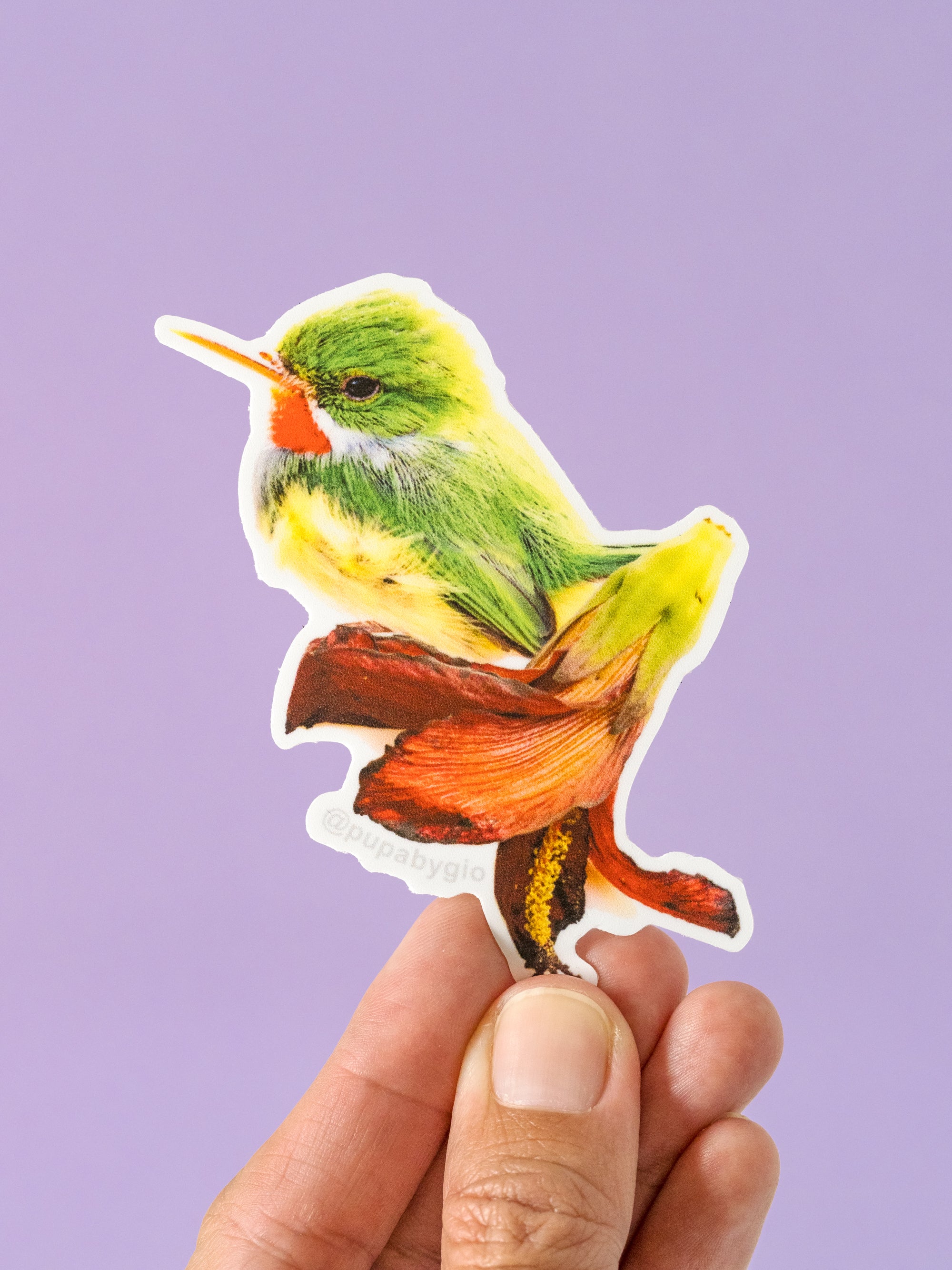 Stickers – Pupa by Gio