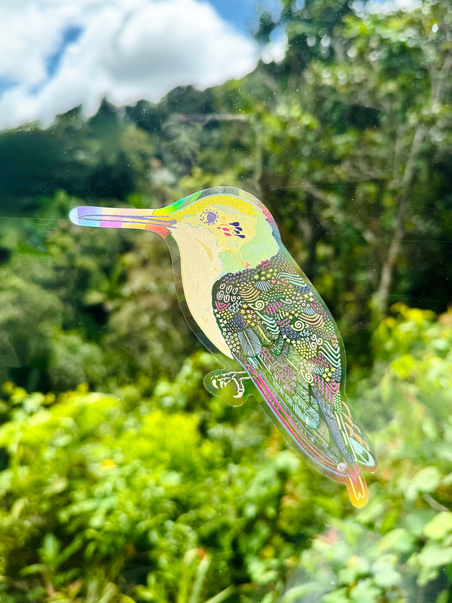 Colibrí Suncatcher Decal