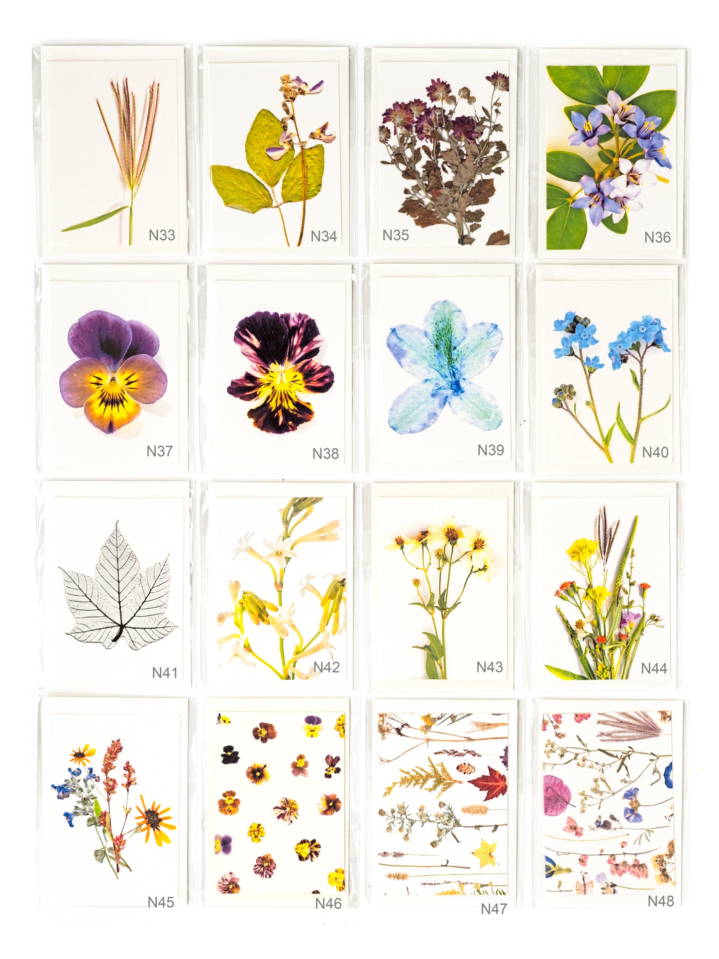 Botanical & Birds Note Card Collection