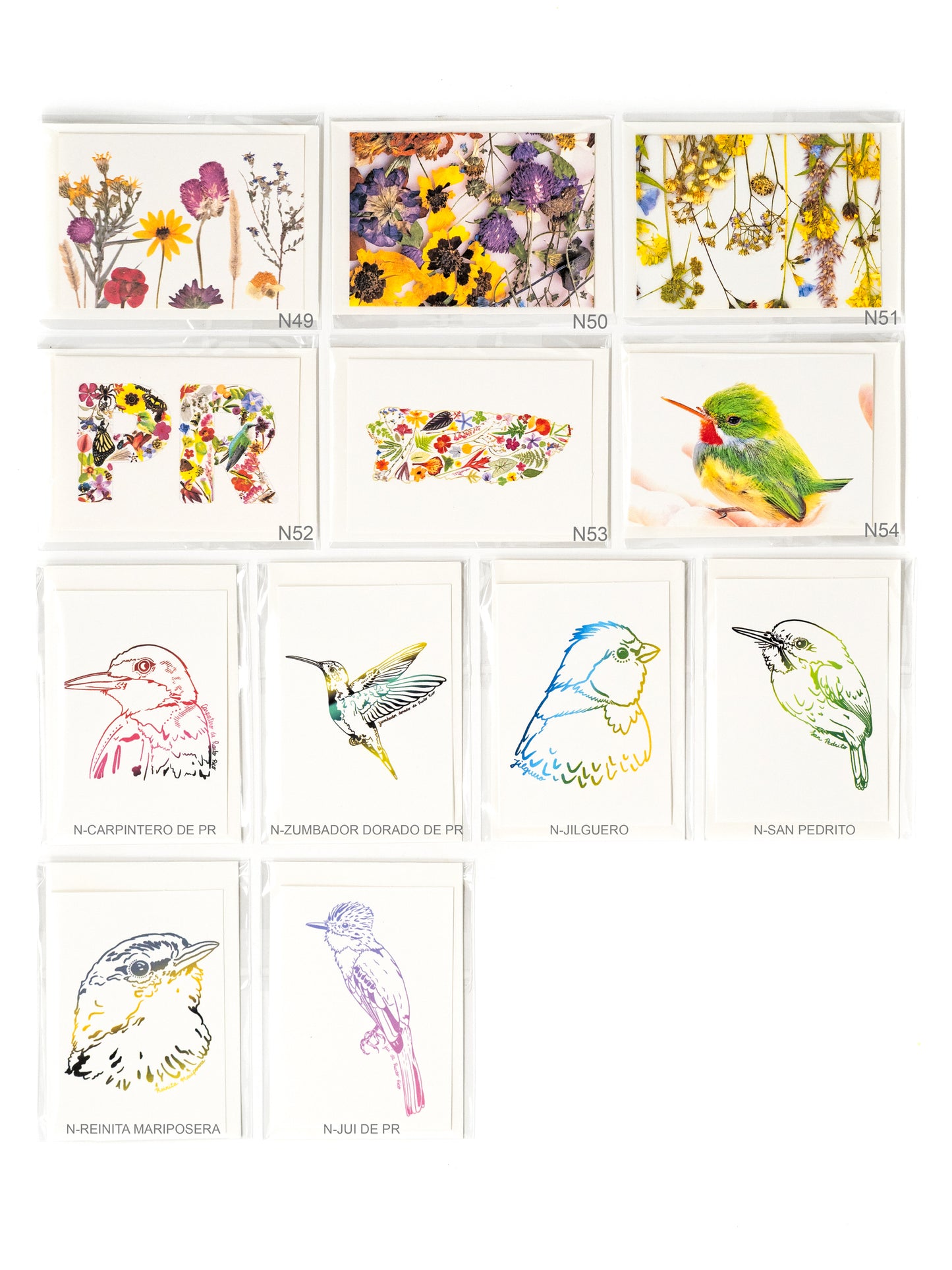 Botanical & Birds Note Card Collection