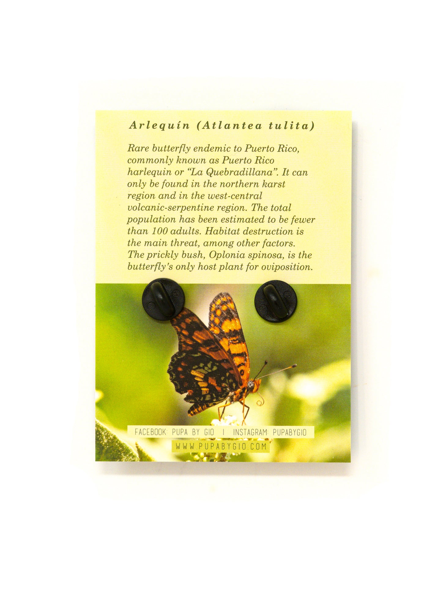 Arlequín Hard Enamel Pin