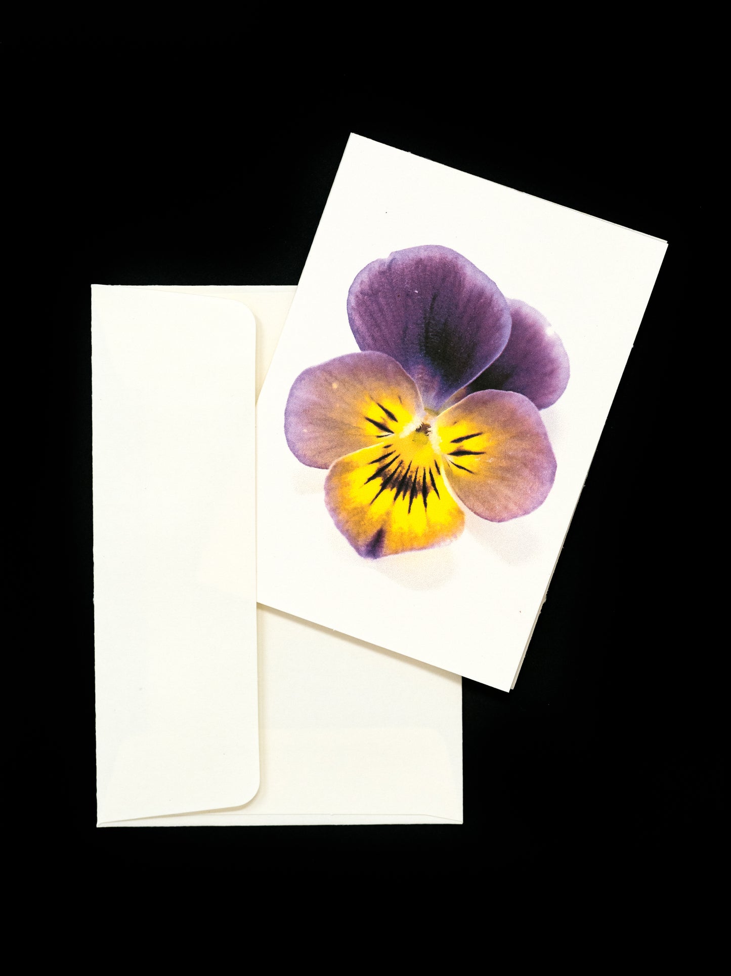 Pansy Greeting Card & Note Card Collection