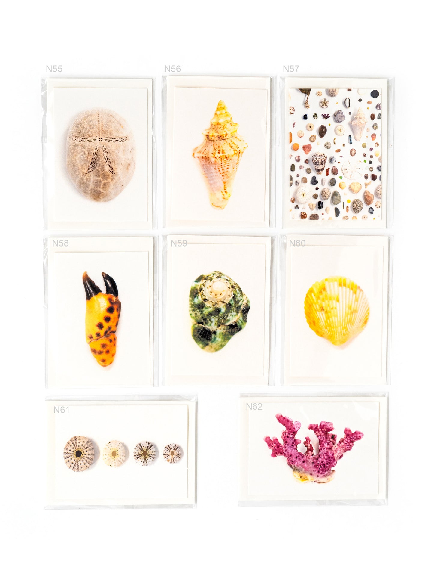 Botanical & Birds Note Card Collection