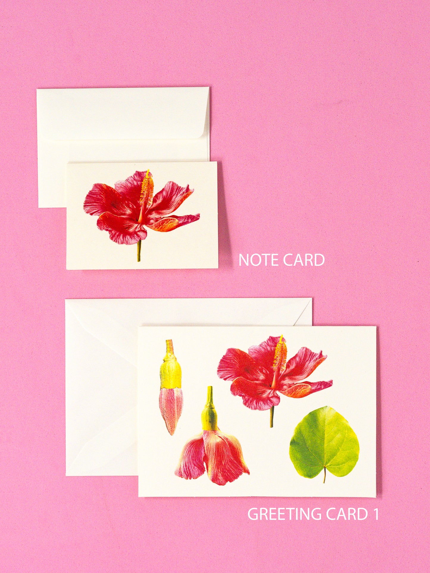 Flor de Maga Greeting Card & Note Card Collection