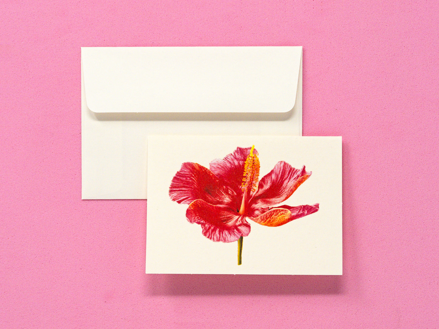 Flor de Maga Greeting Card & Note Card Collection