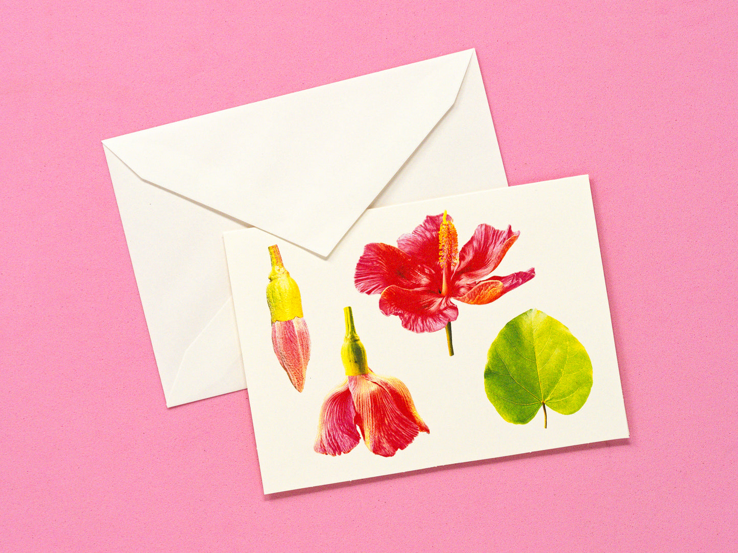 Flor de Maga Greeting Card & Note Card Collection