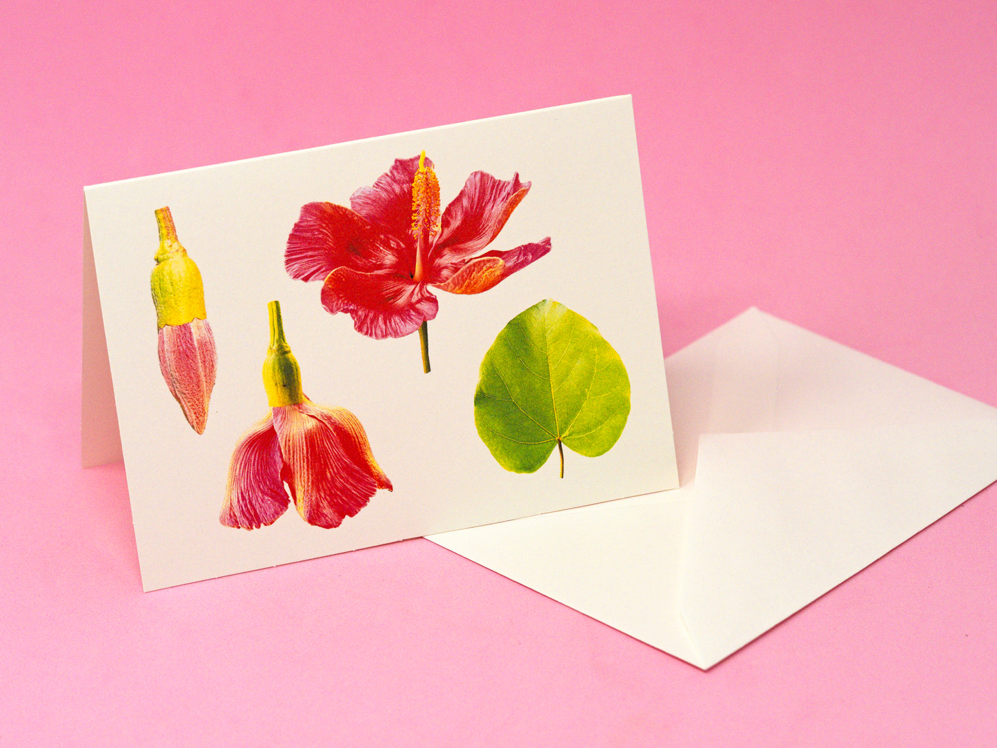 Flor de Maga Greeting Card & Note Card Collection