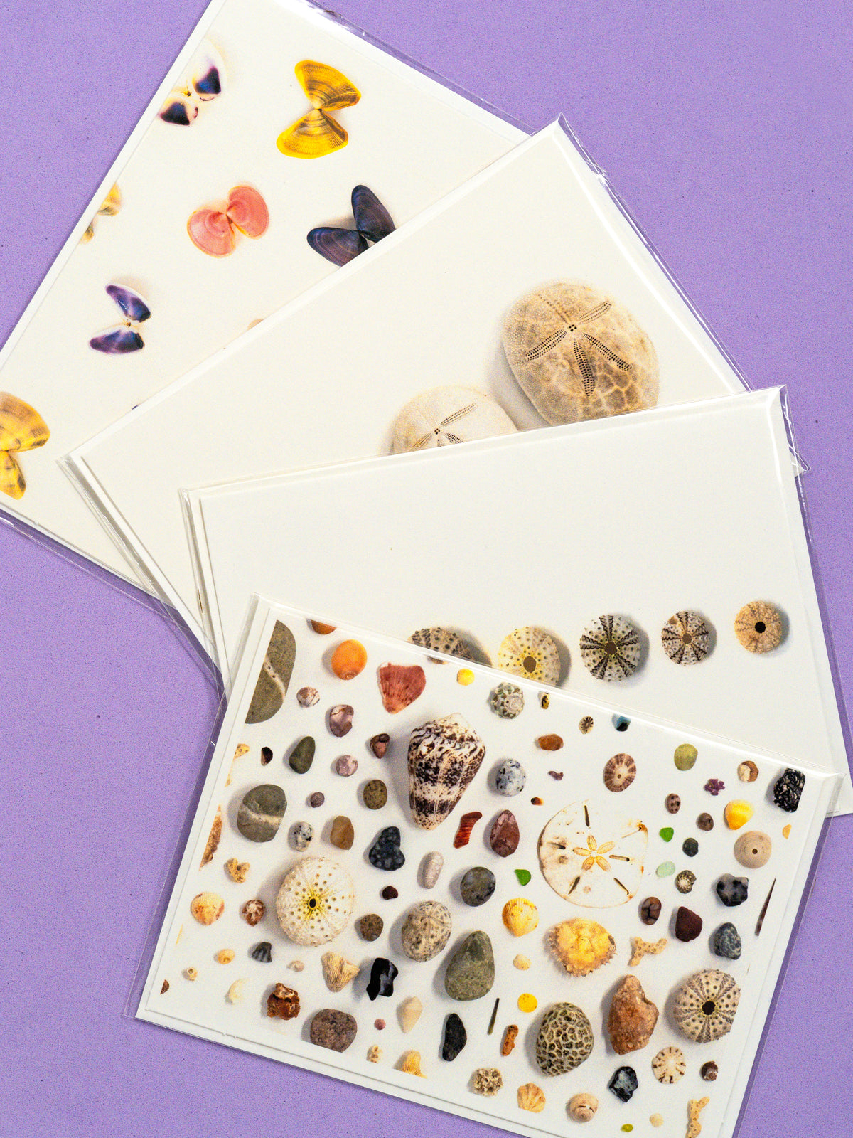 Mar Greeting Card Collection
