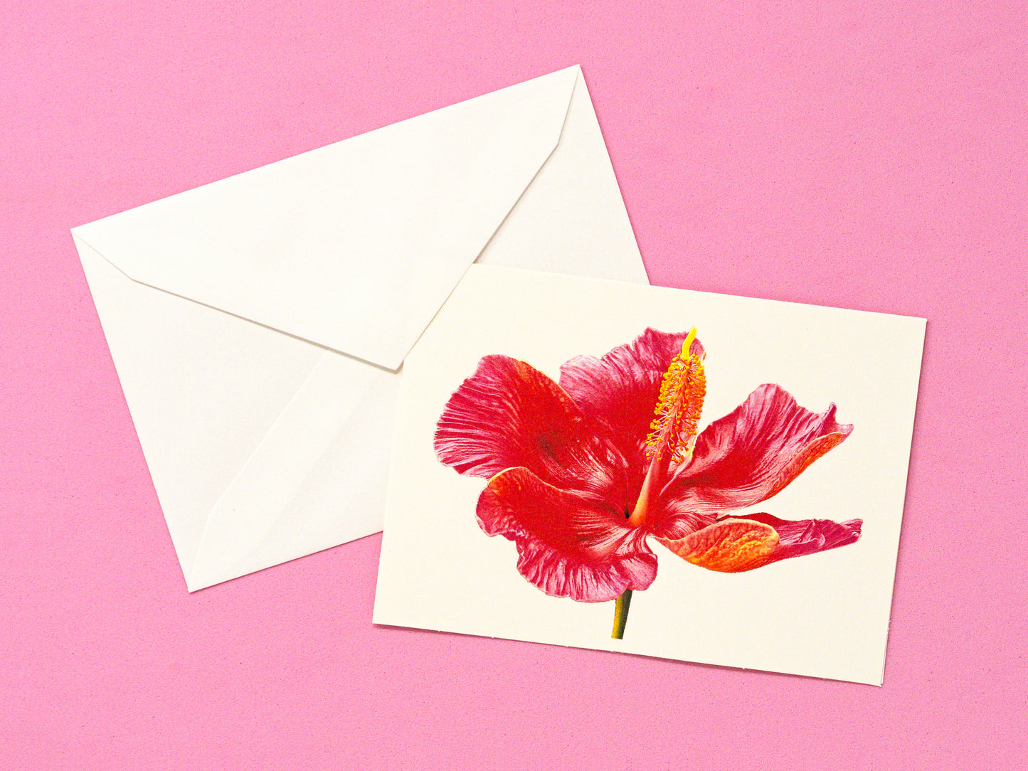 Flor de Maga Greeting Card & Note Card Collection
