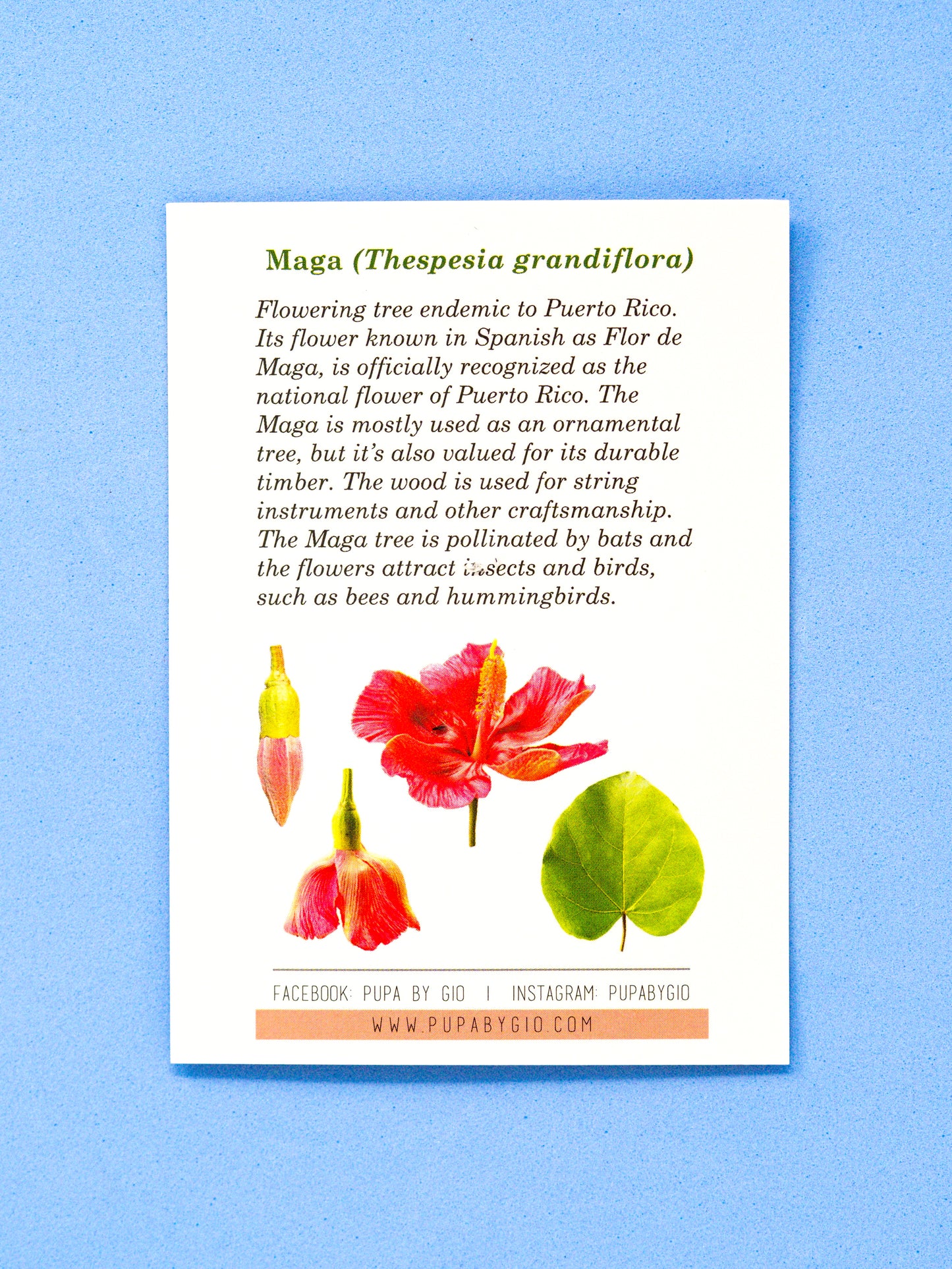 Flor de Maga Hard Enamel Pin