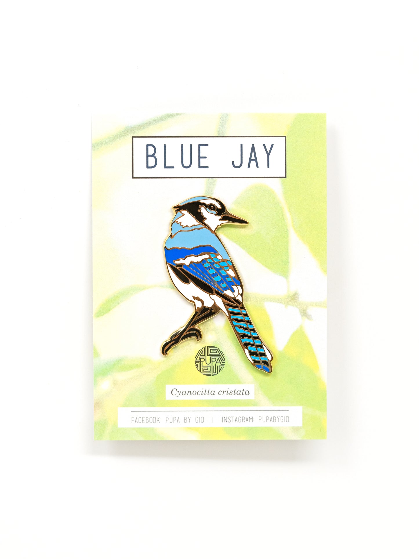 Blue Jay Hard Enamel Pin