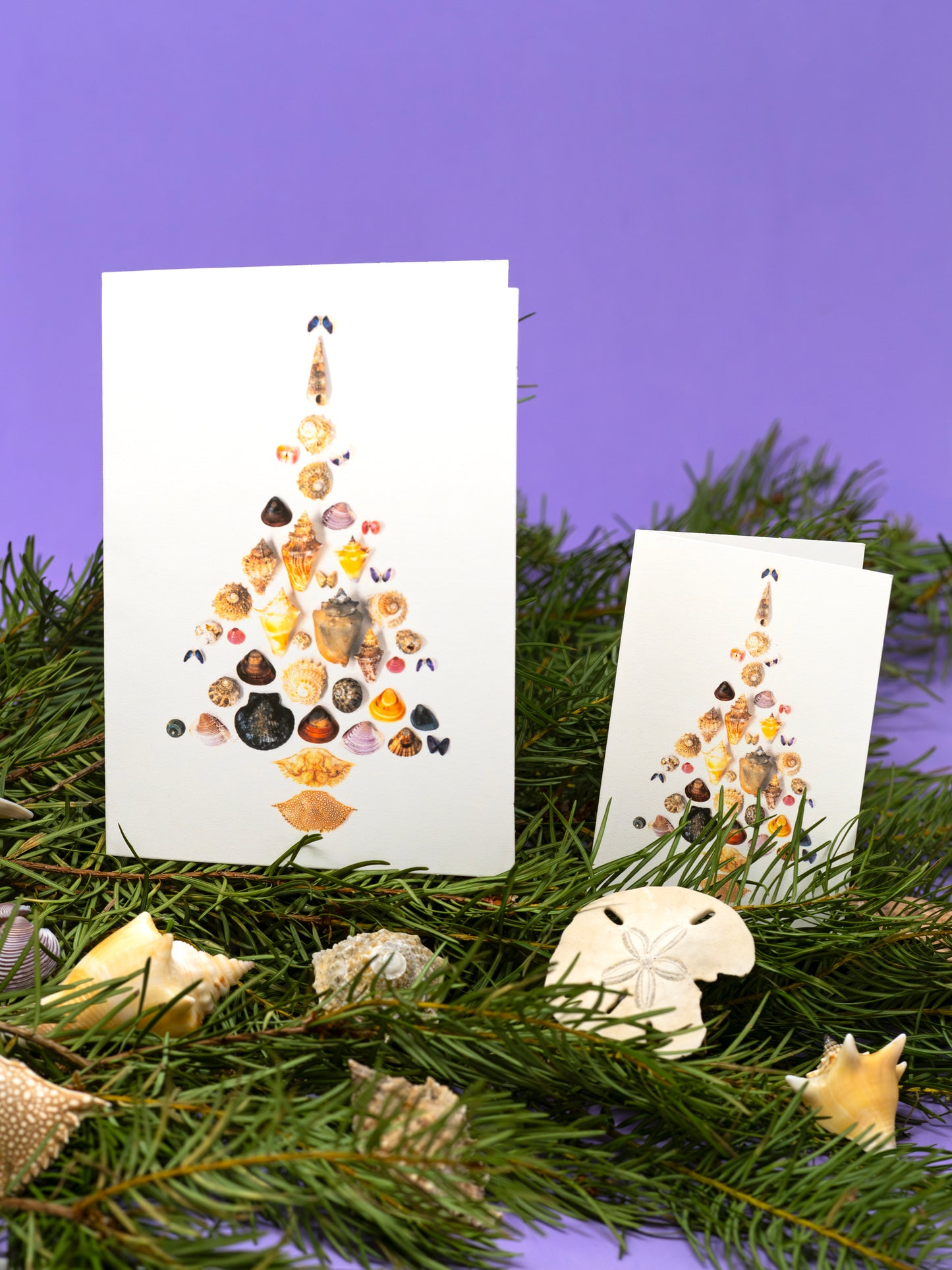 Mar Christmas Greeting Card