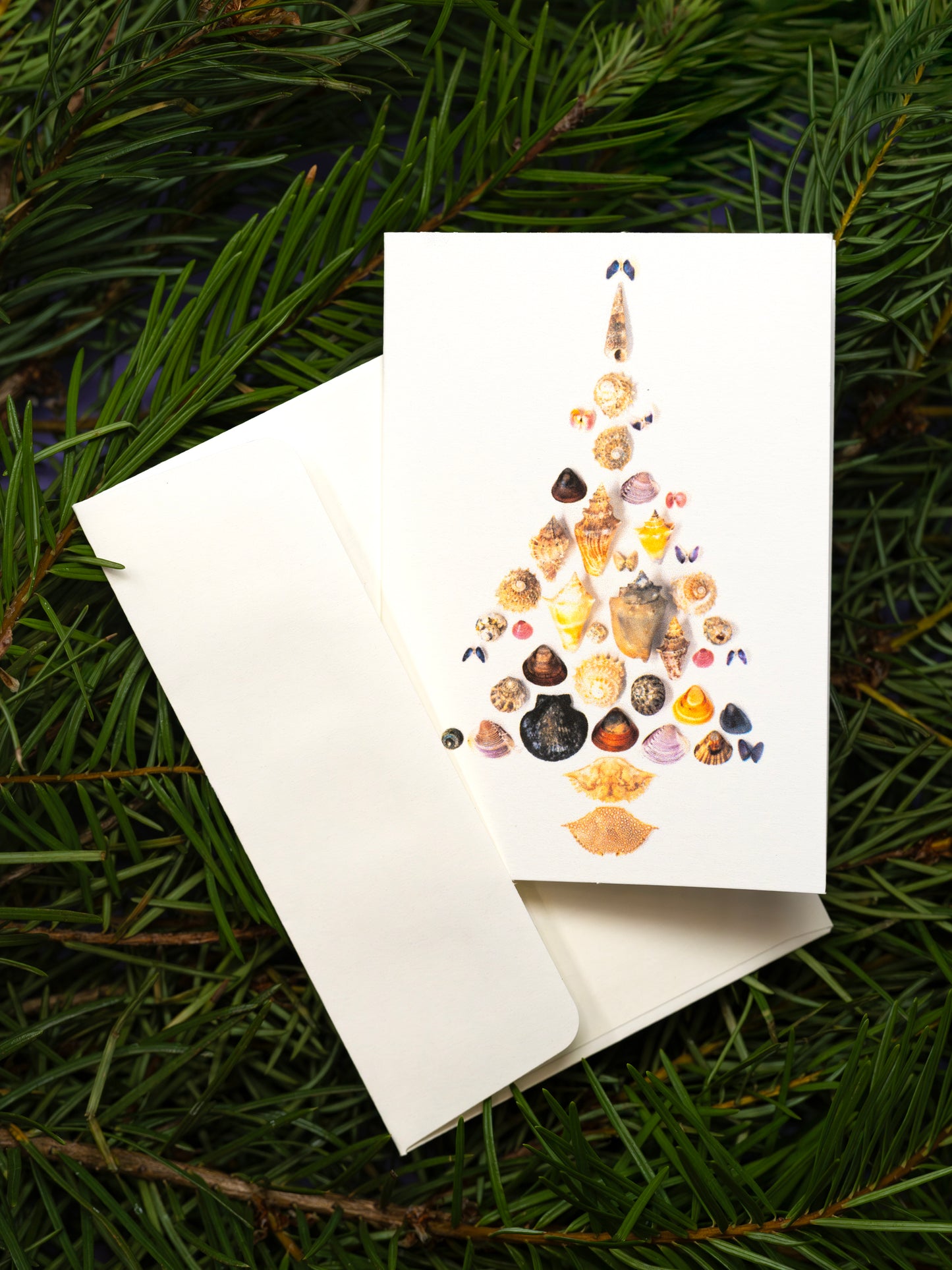 Mar Christmas Greeting Card