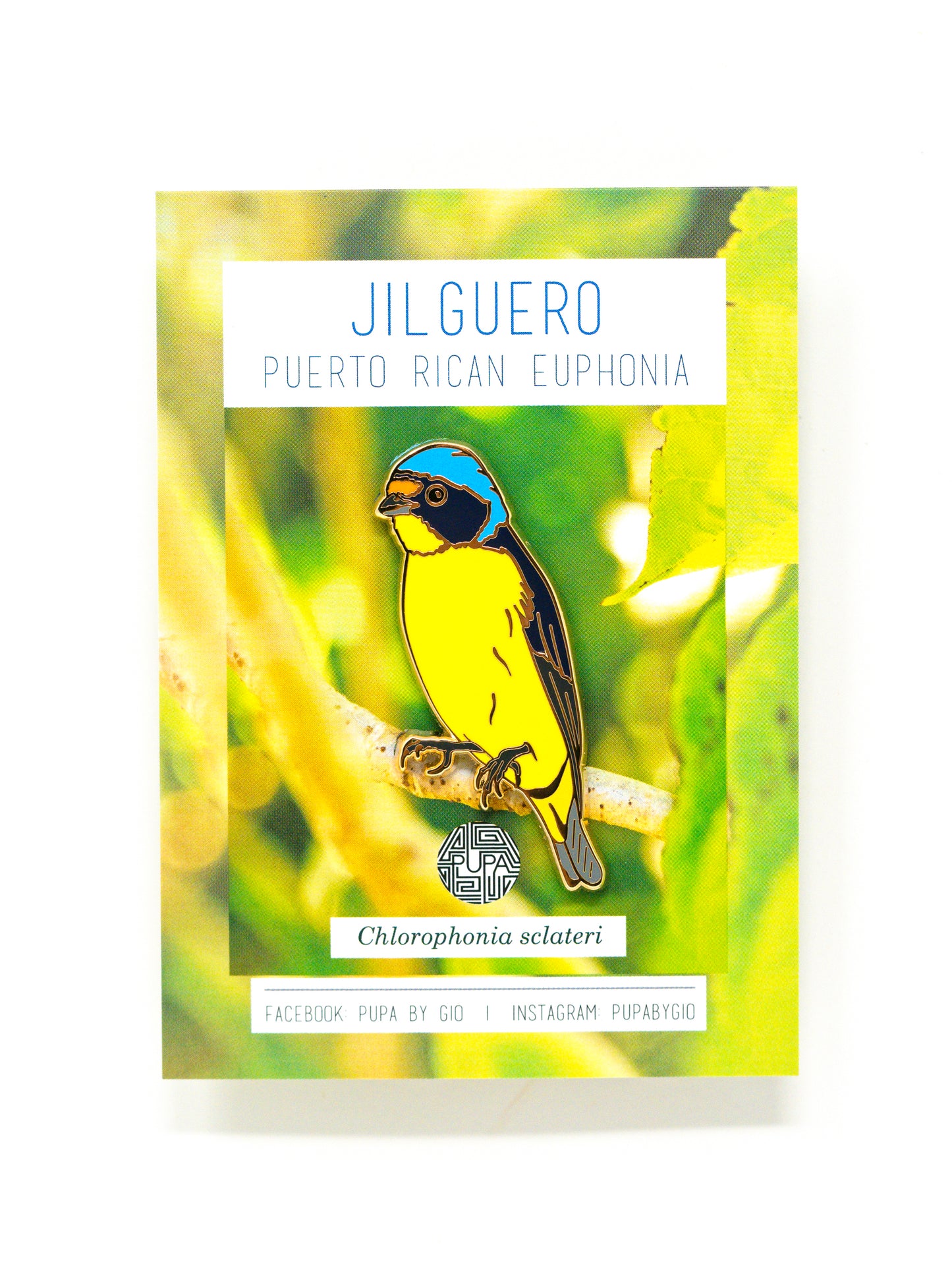 Jilguero Hard Enamel Pin