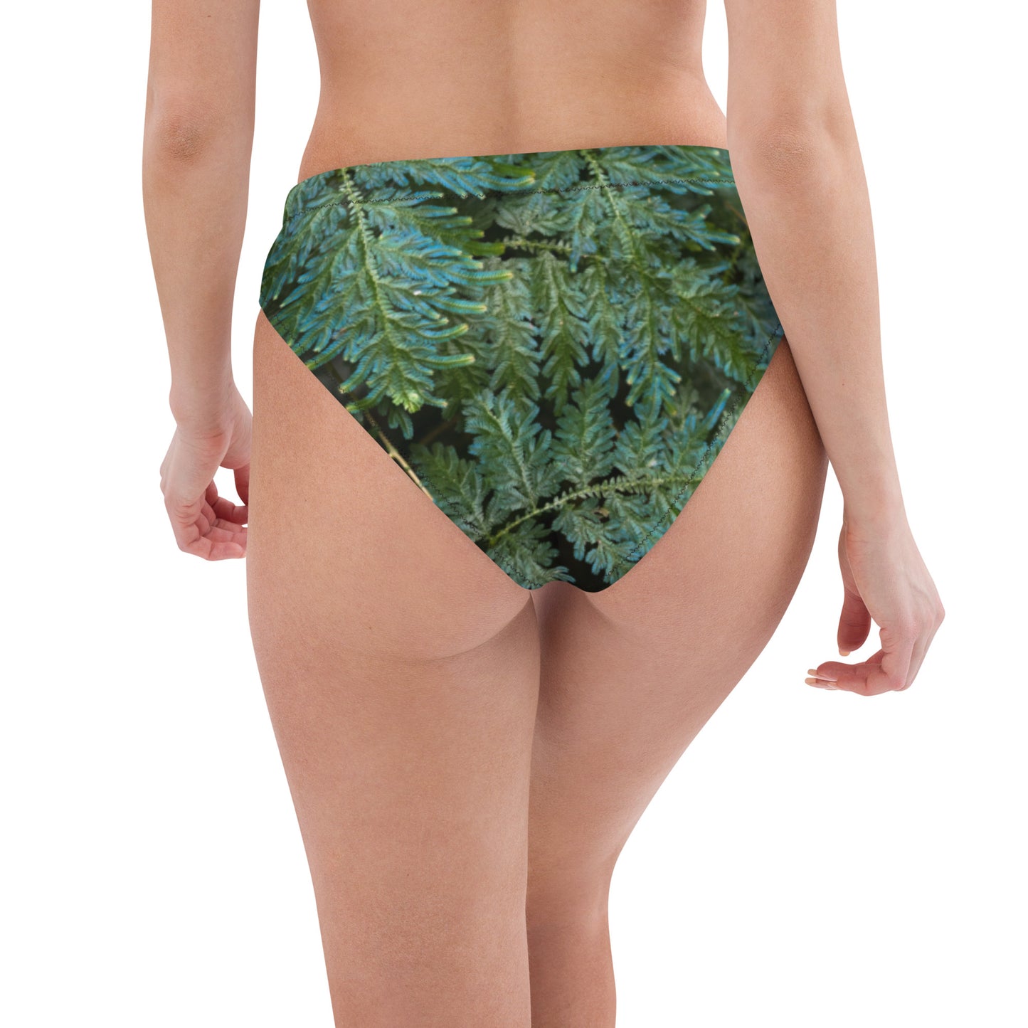 Spikemoss Recycled high-waisted bikini bottom