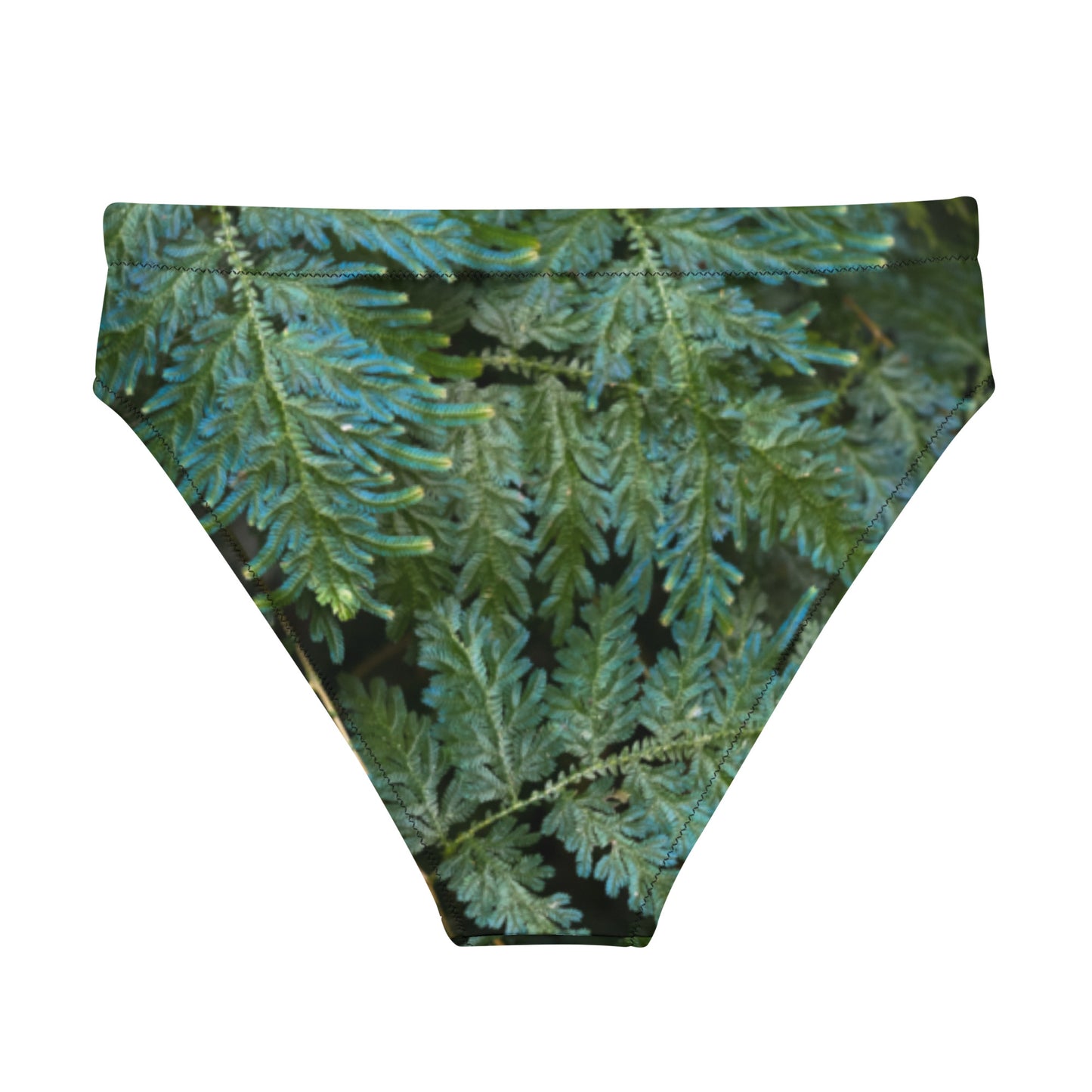 Spikemoss Recycled high-waisted bikini bottom