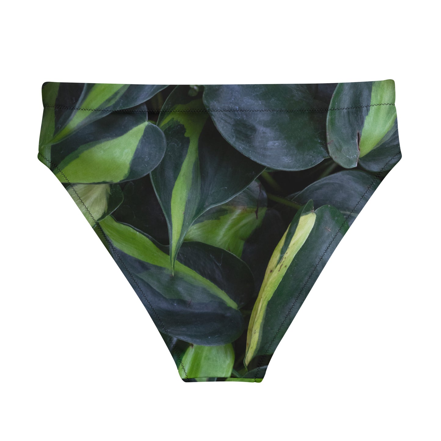 Pothos Recycled high-waisted bikini bottom