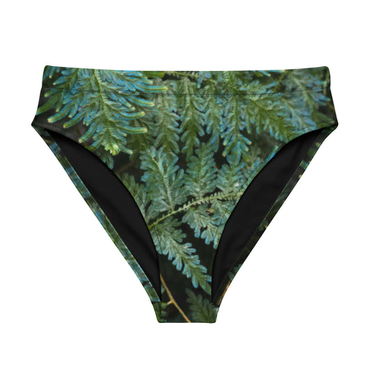 Spikemoss Recycled high-waisted bikini bottom