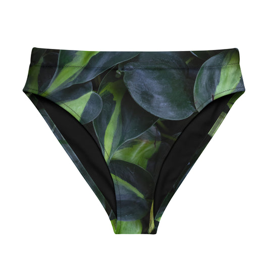 Pothos Recycled high-waisted bikini bottom