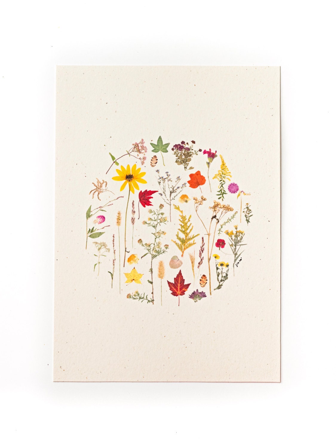 Flora of North Carolina Art Print