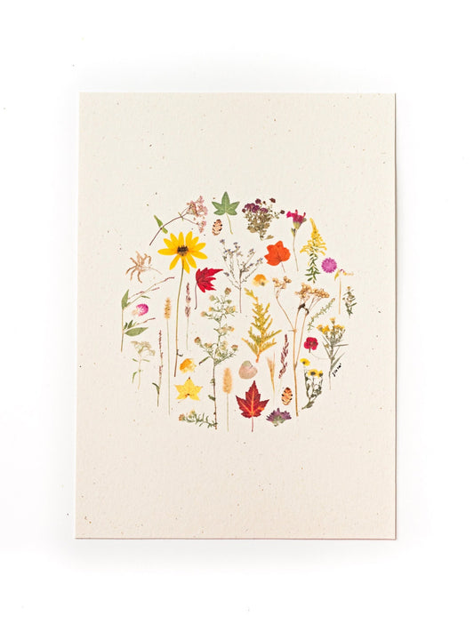 Flora of North Carolina Art Print