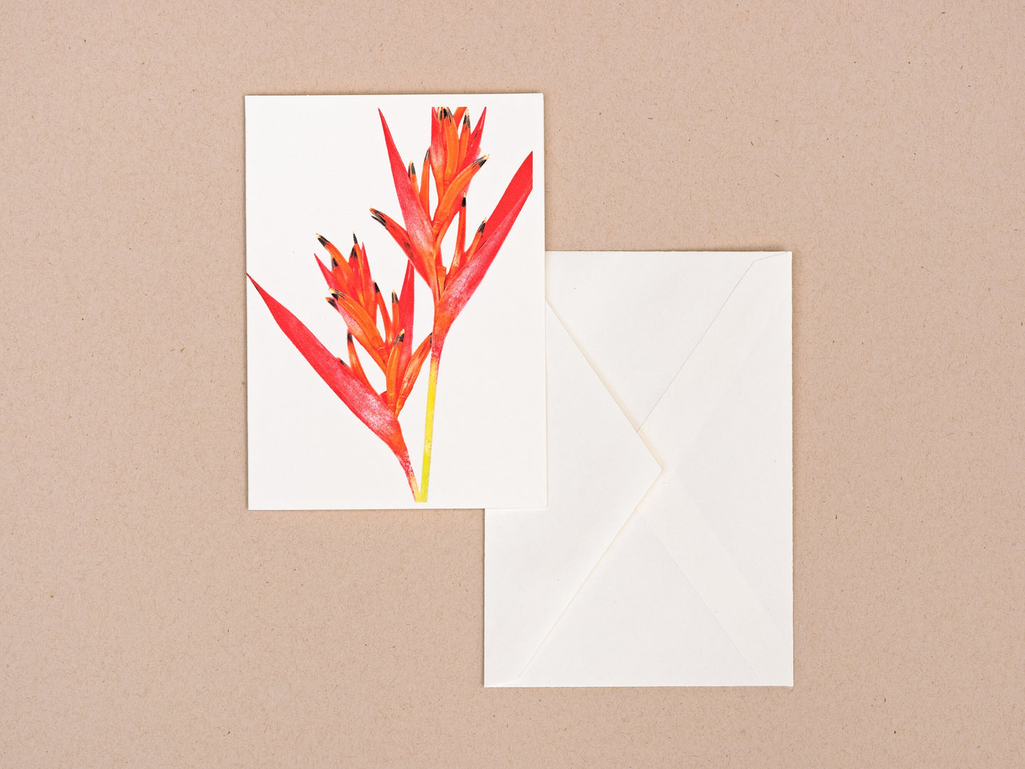 Heliconia psittacorum Greeting Card