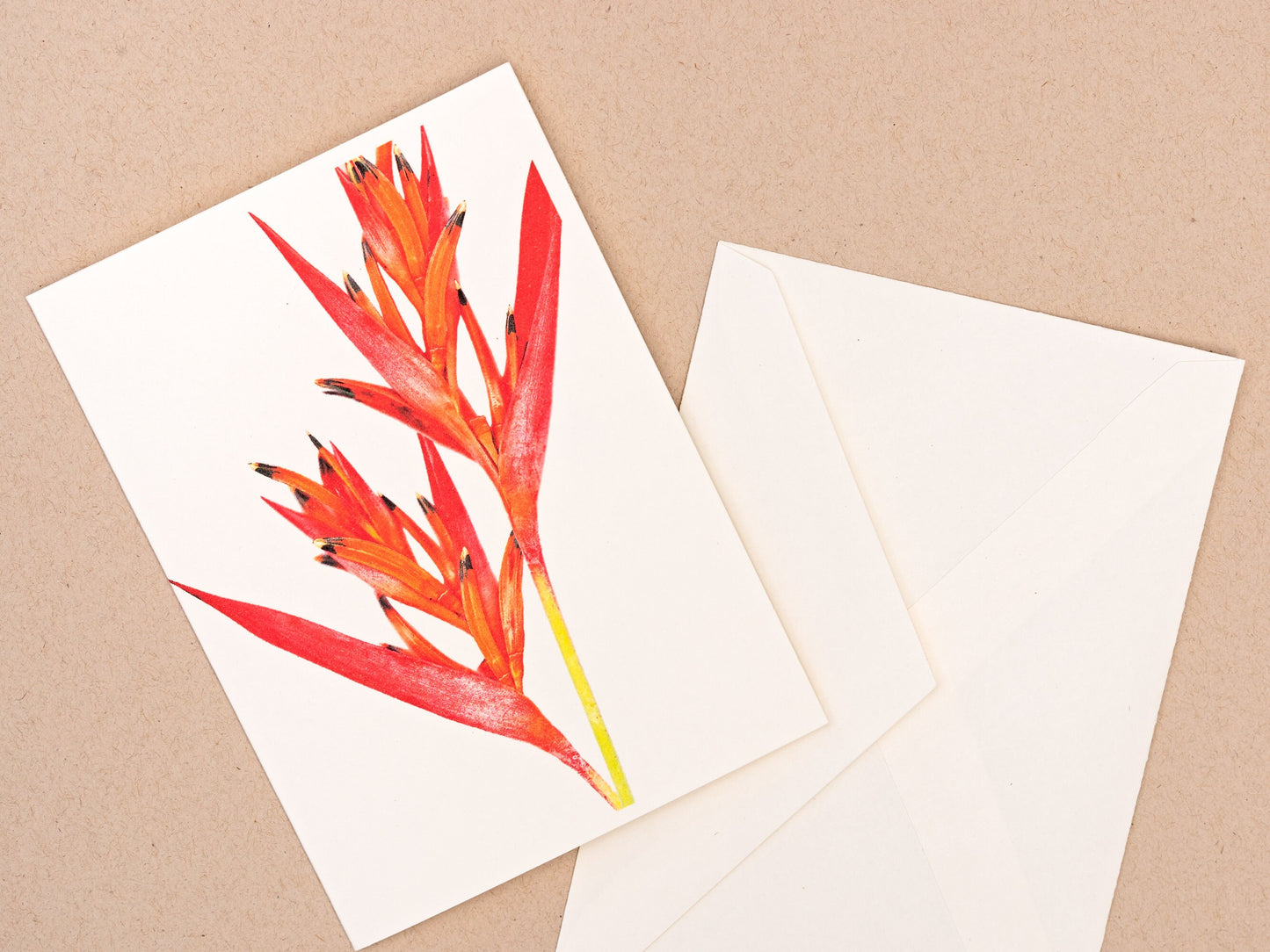 Heliconia psittacorum Greeting Card