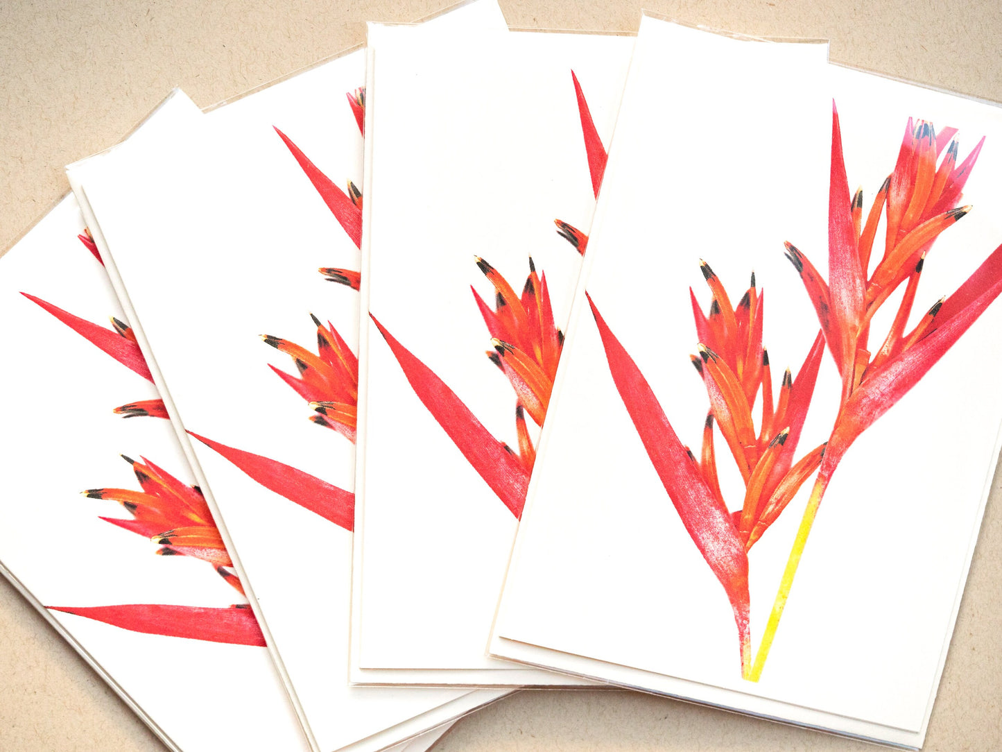 Heliconia psittacorum Greeting Card