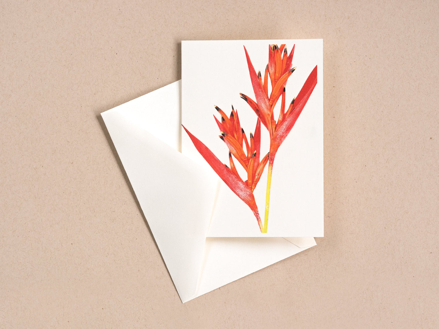 Heliconia psittacorum Greeting Card