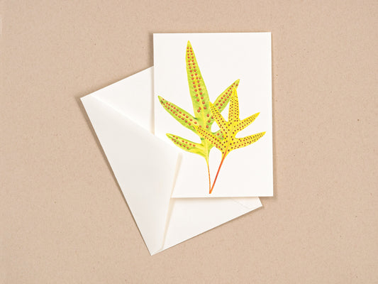 Musk Fern (Phymatosorus grossus) Greeting Card With Envelope