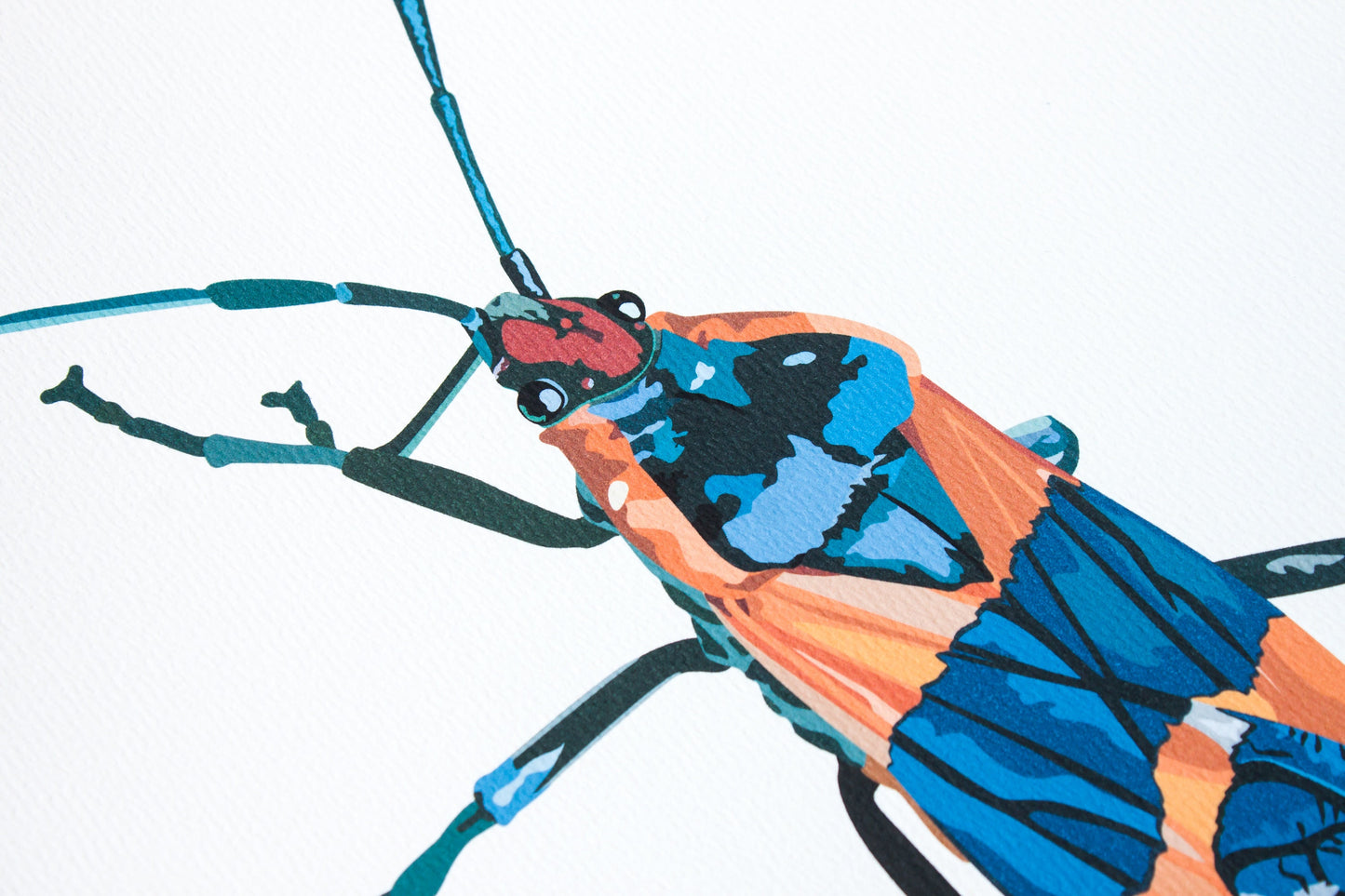 Large Milkweed Bug (Oncopeltus Fasciatus) Art Print