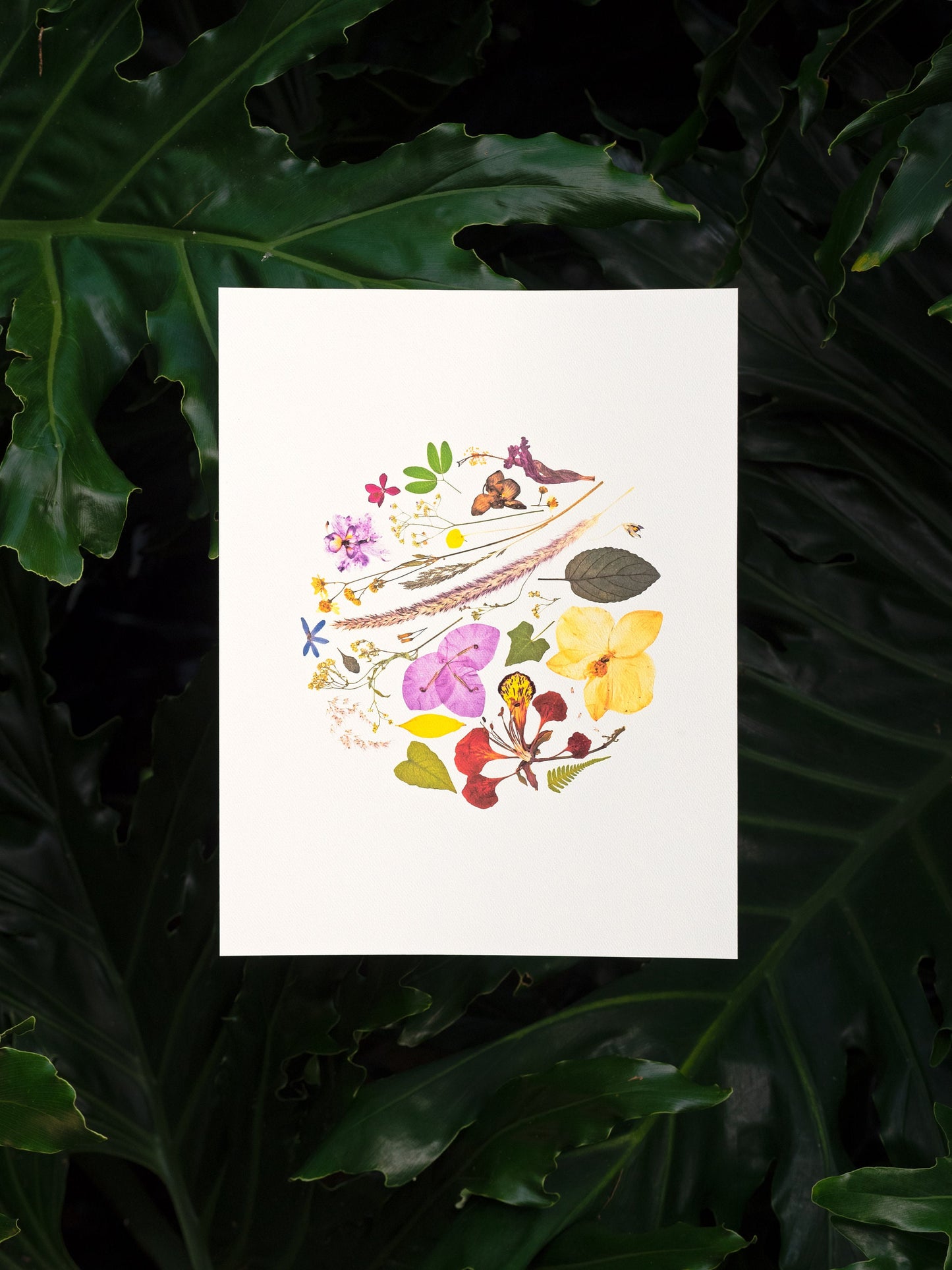 Dried Flowers Art Print