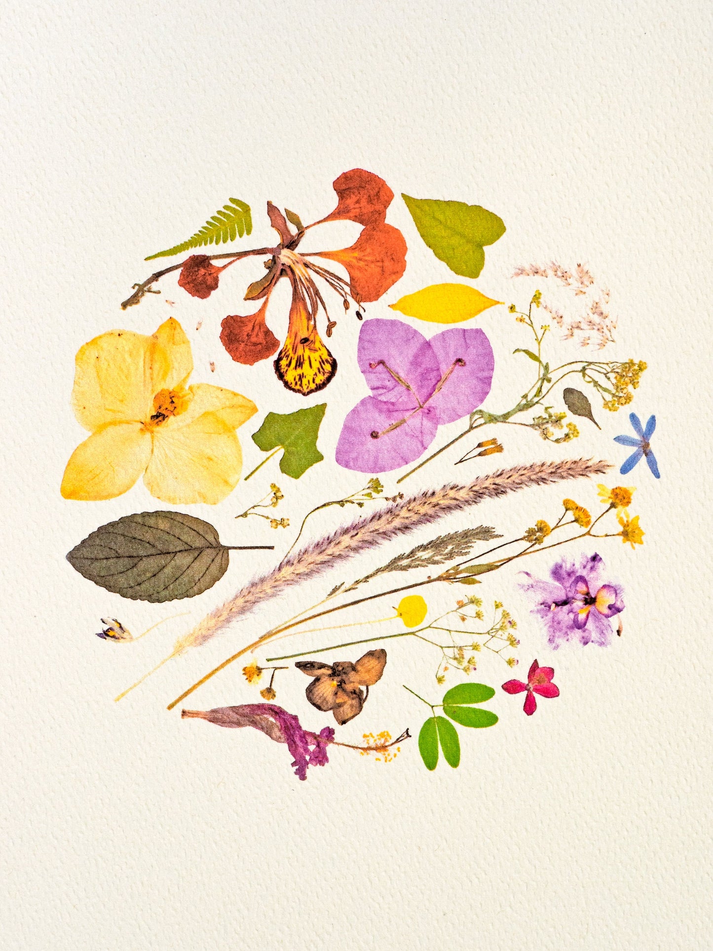 Dried Flowers Art Print